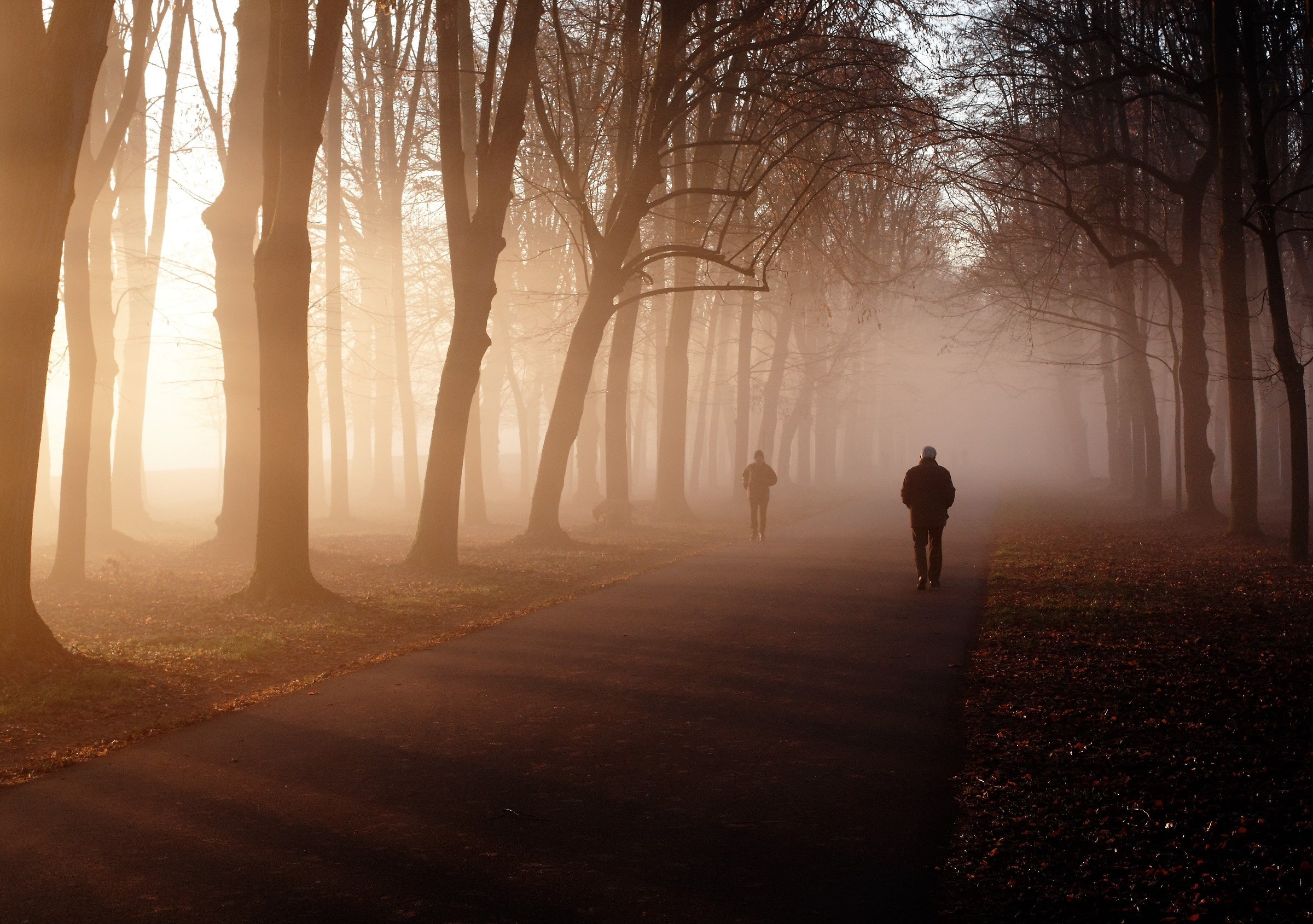 Sunrise at Monza Park