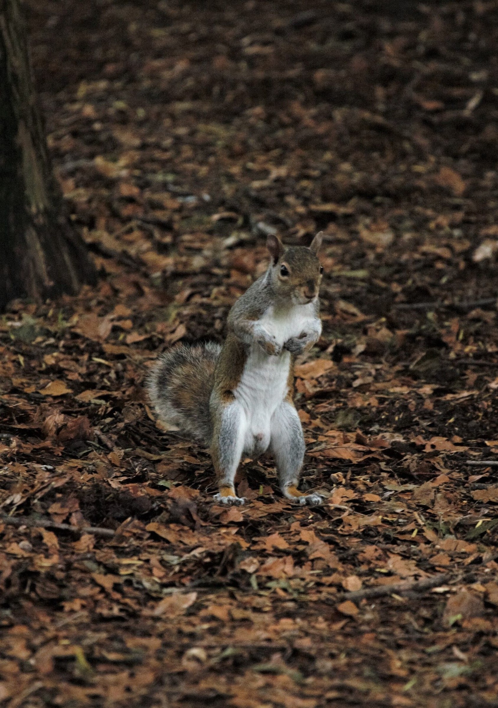 Are you alert to the alert?