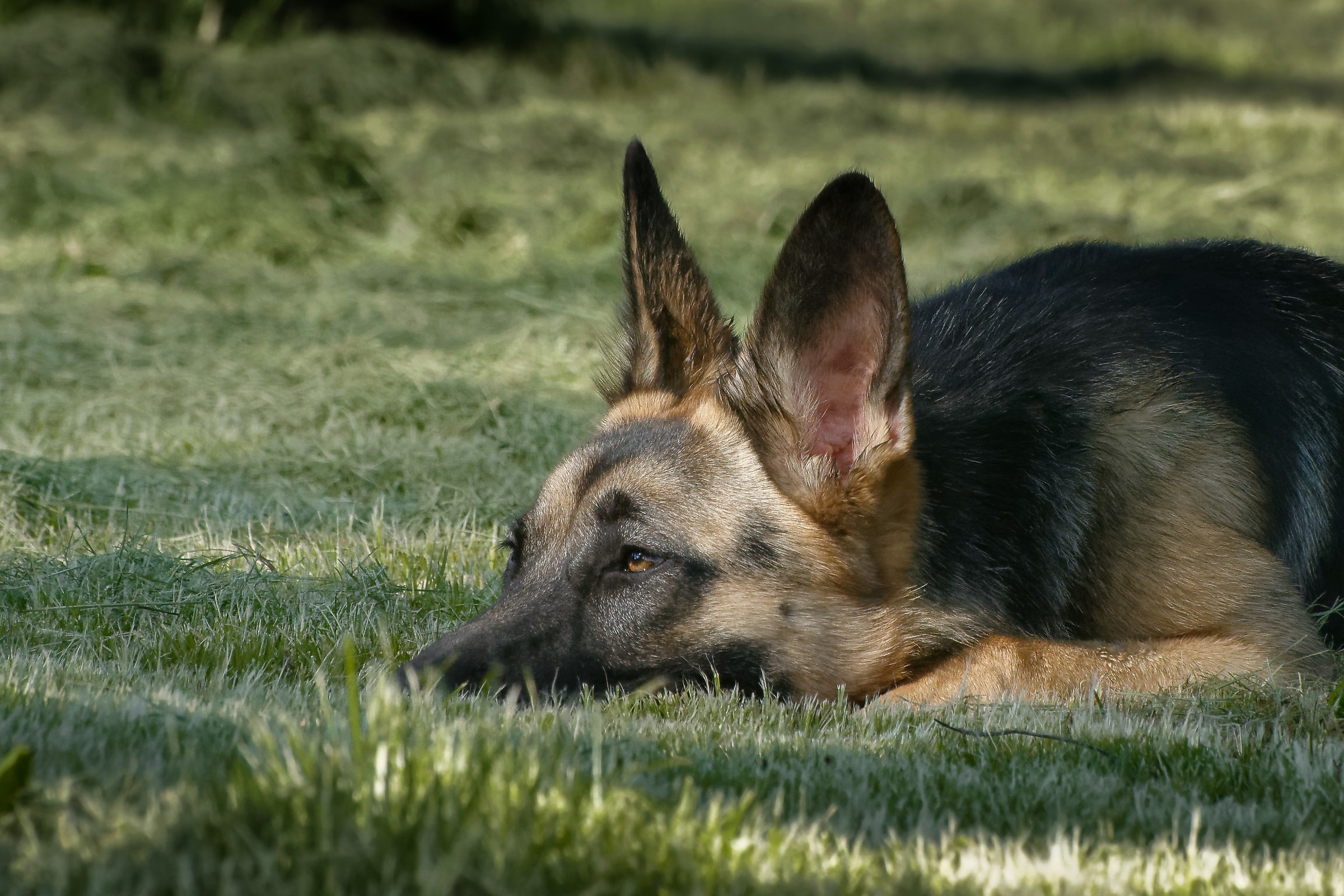 I'm too camouflaged;)