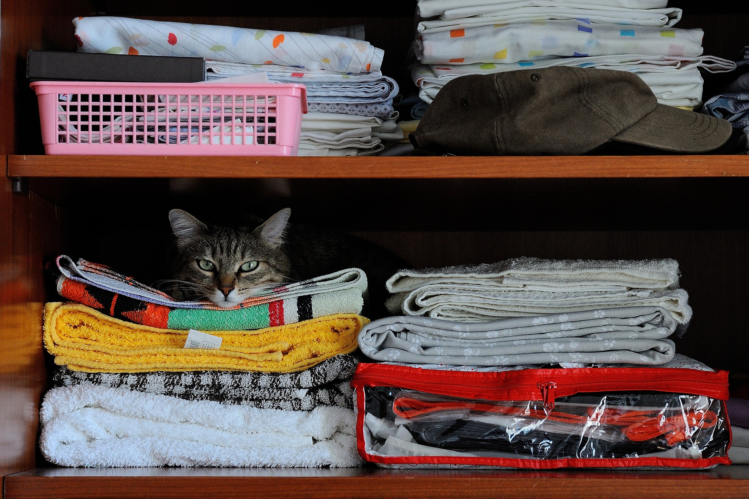 Look for the intruder!