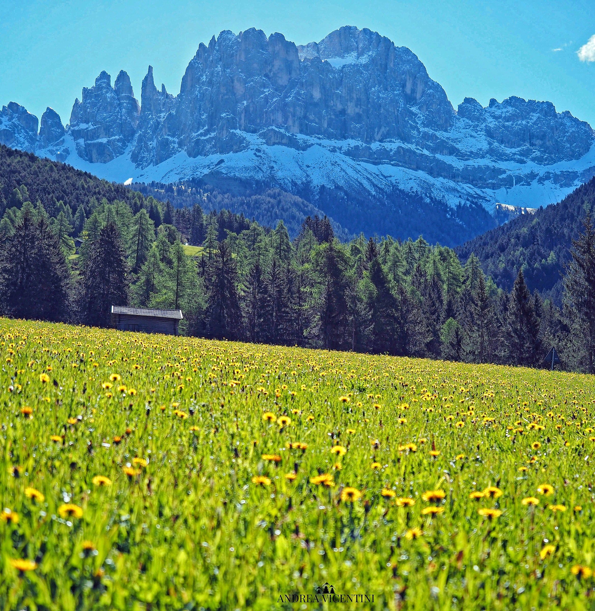 Tires at the Catinaccio