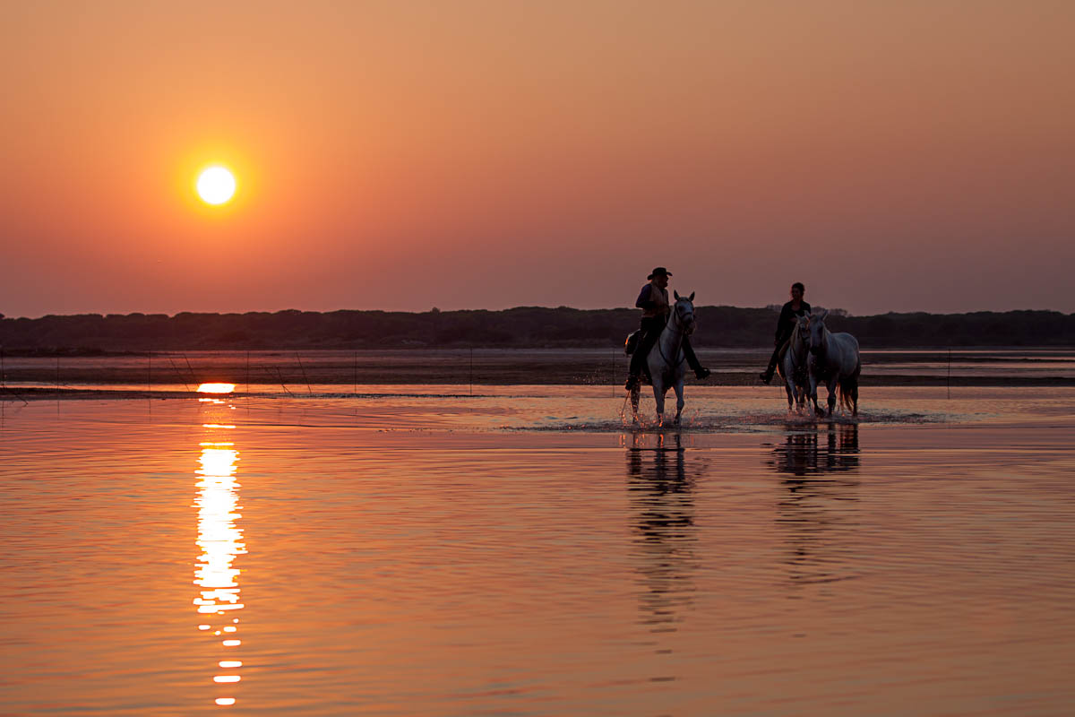 Camargue Sunset