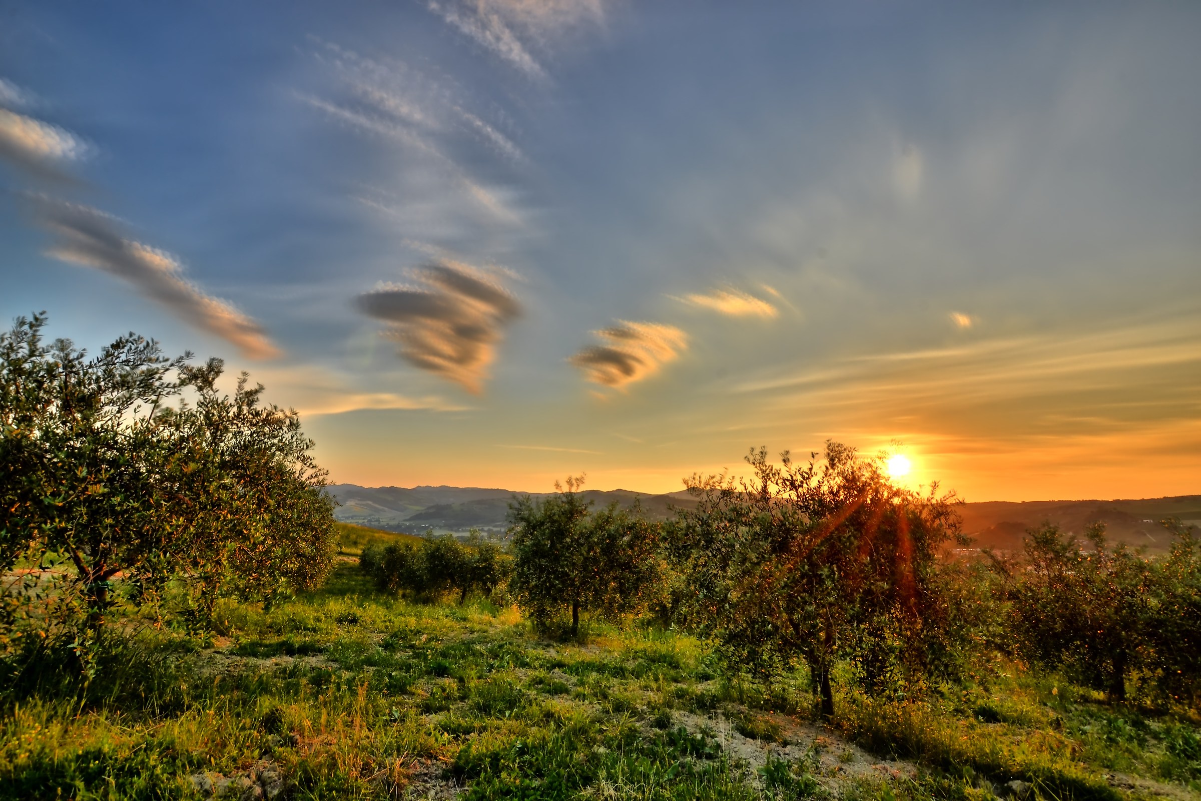 The Volcanoes of Massa