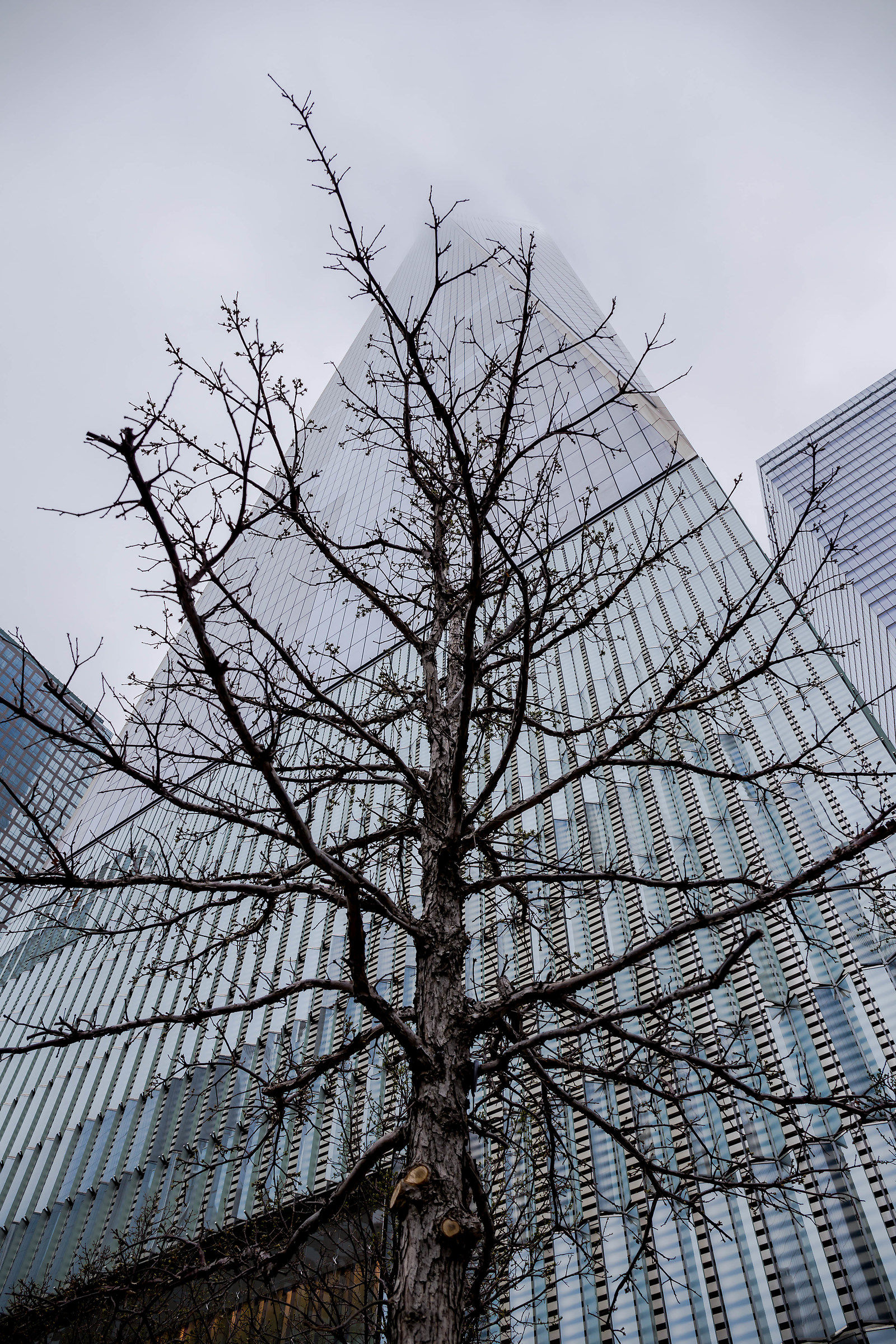 new one world trade center, NY