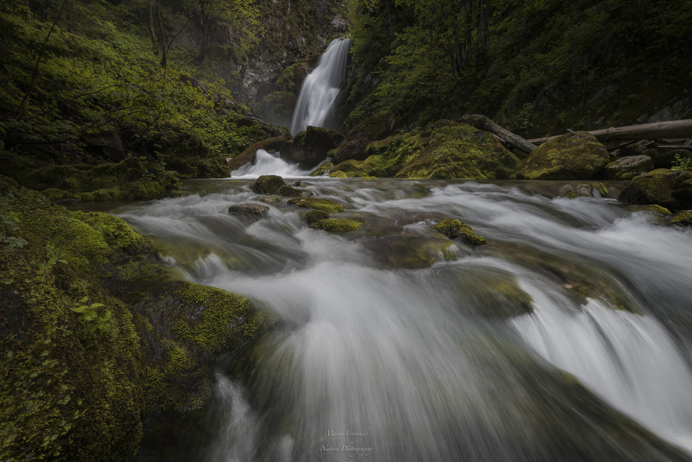Gias Fontana - Valle Pesio