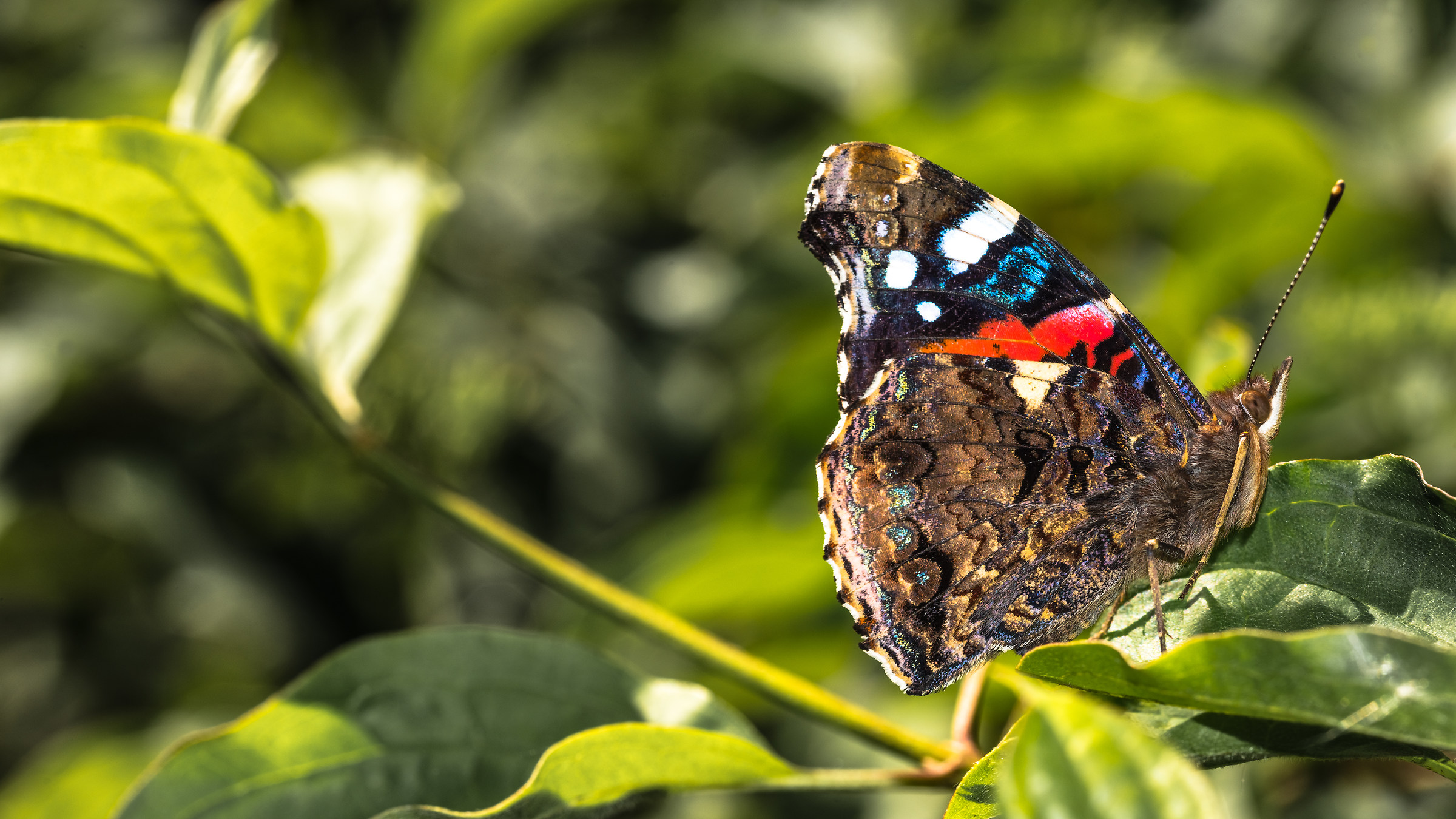 Parcheggio fotografico