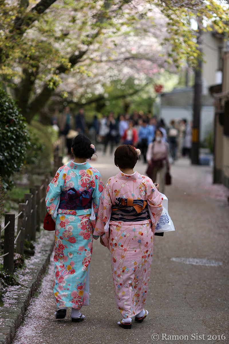 Kyoto, Walk Of The Philosopher