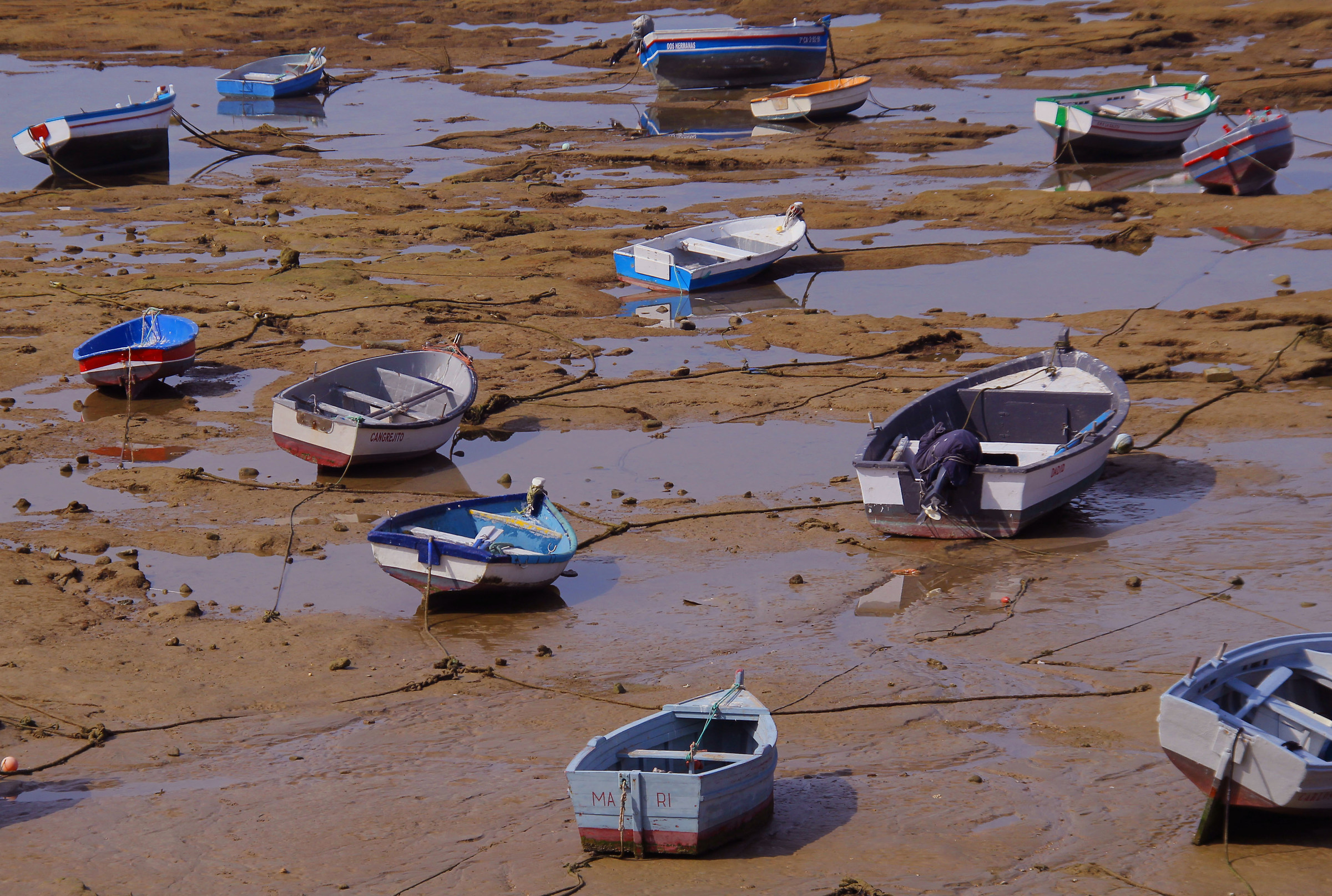 ...arriverà anche la marea....