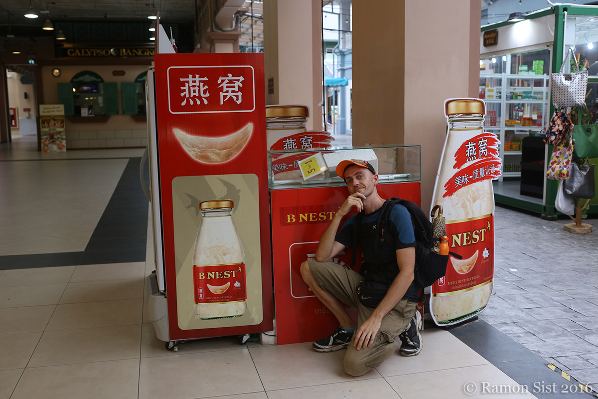 Thailandia io e nidi di rondine