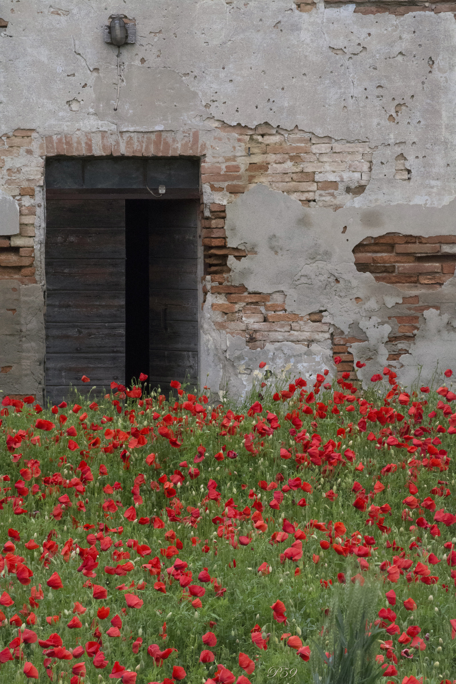 Il passato e l'effimero presente