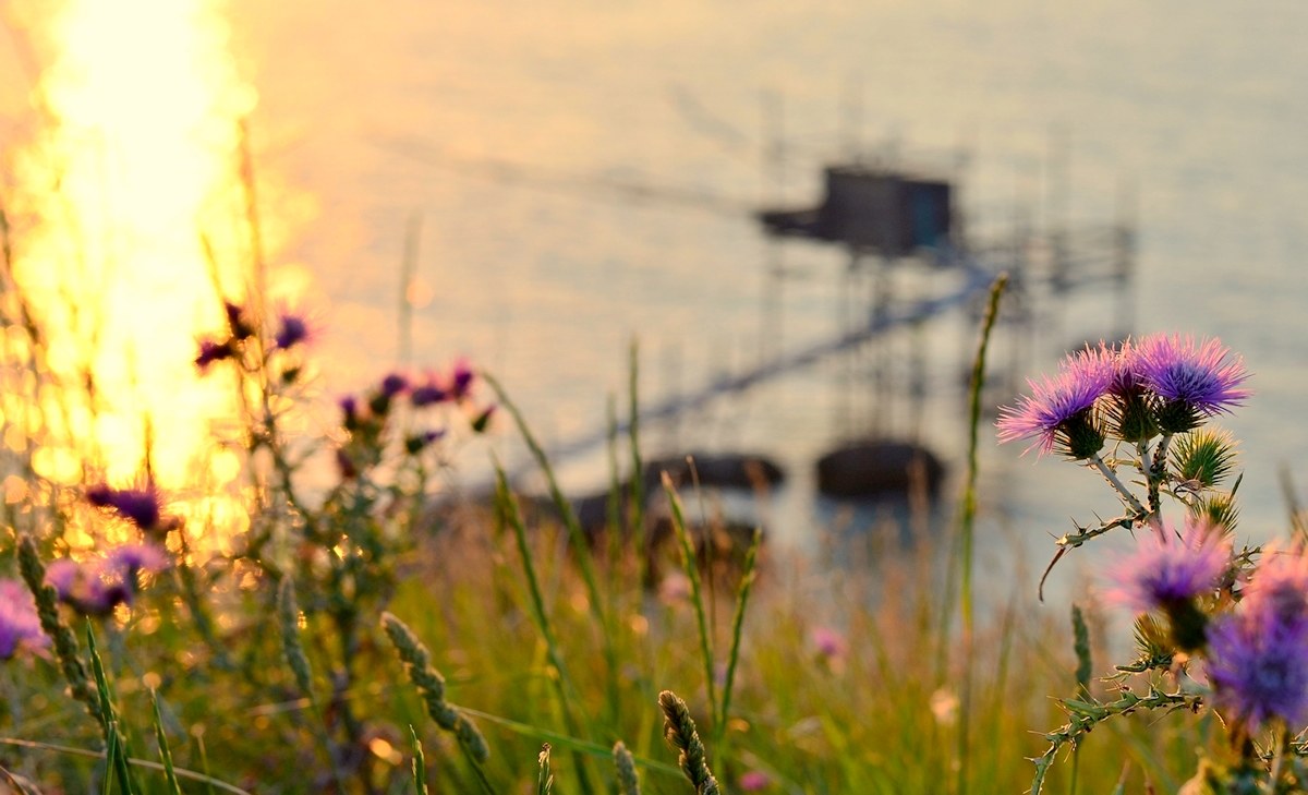 A Day Sunset Anything