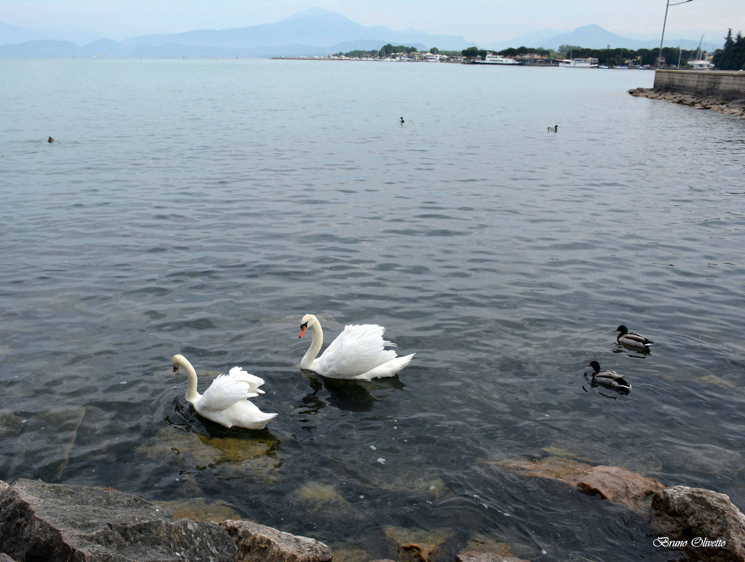 lago di Garda