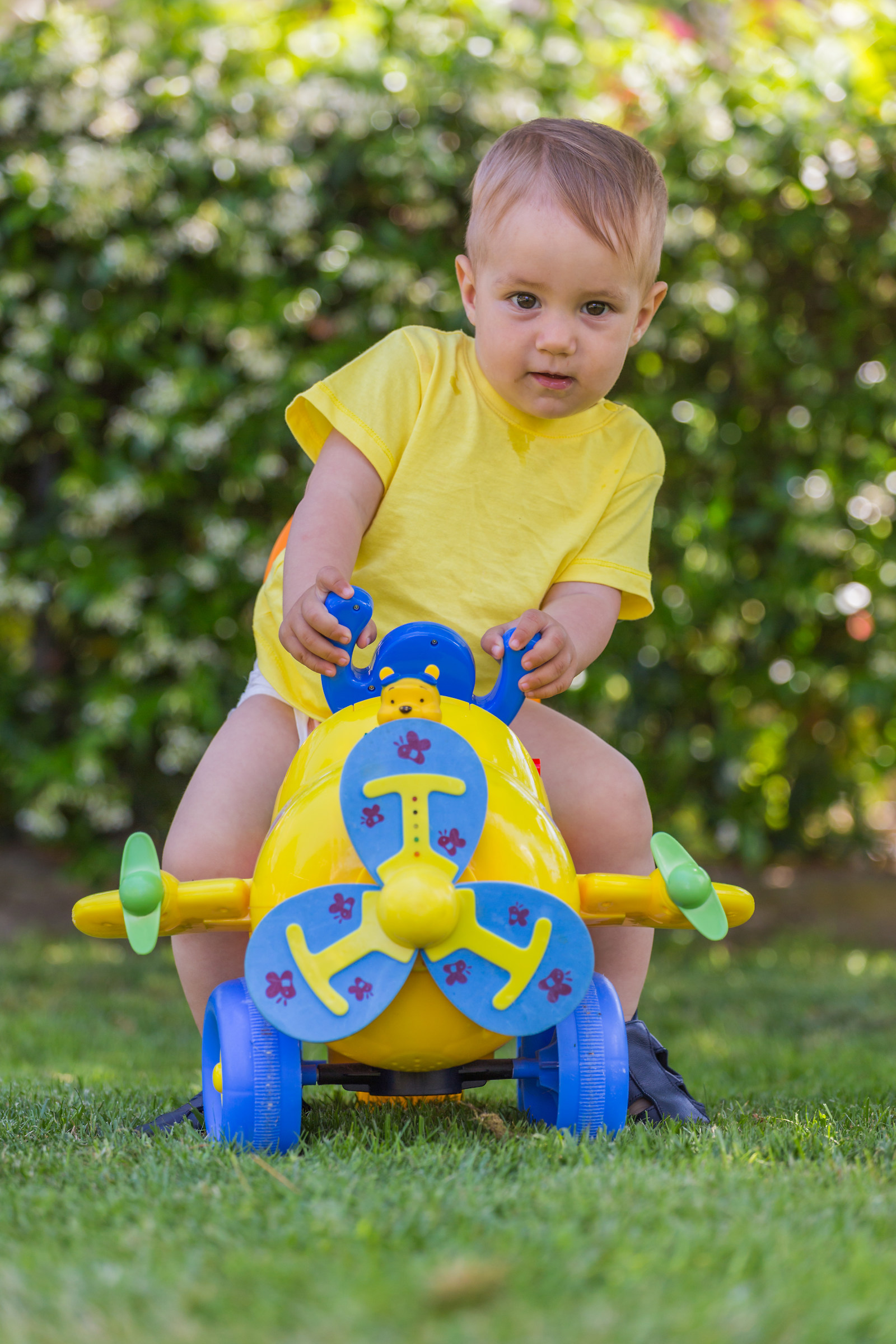 Small aviators are growing