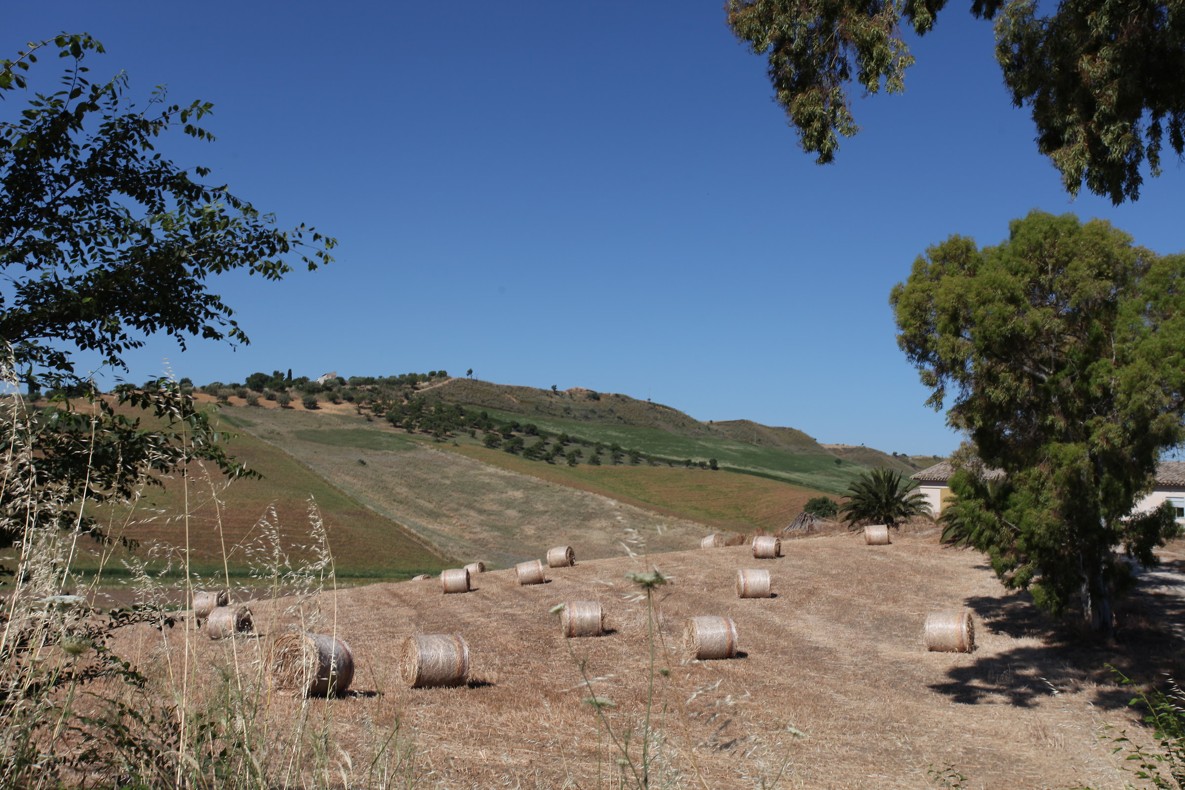 Without telling you bales