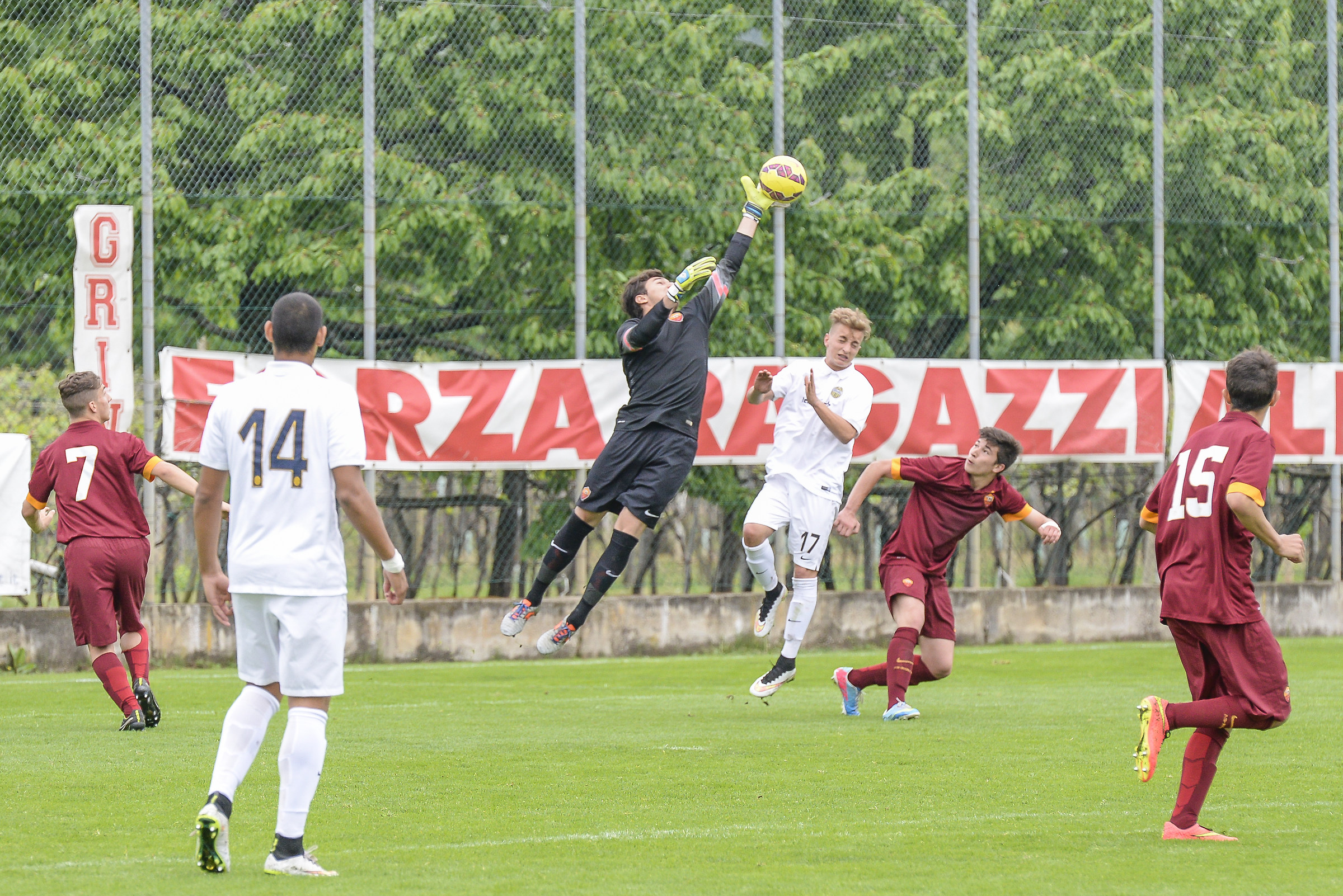 Trophy Ferroli 2015, Rome - Hellas Verona
