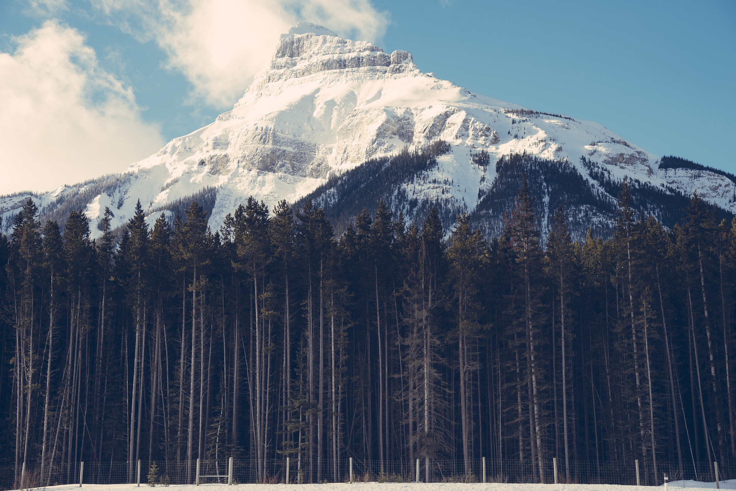 Icefield Parkway, higway 93 AB Canada