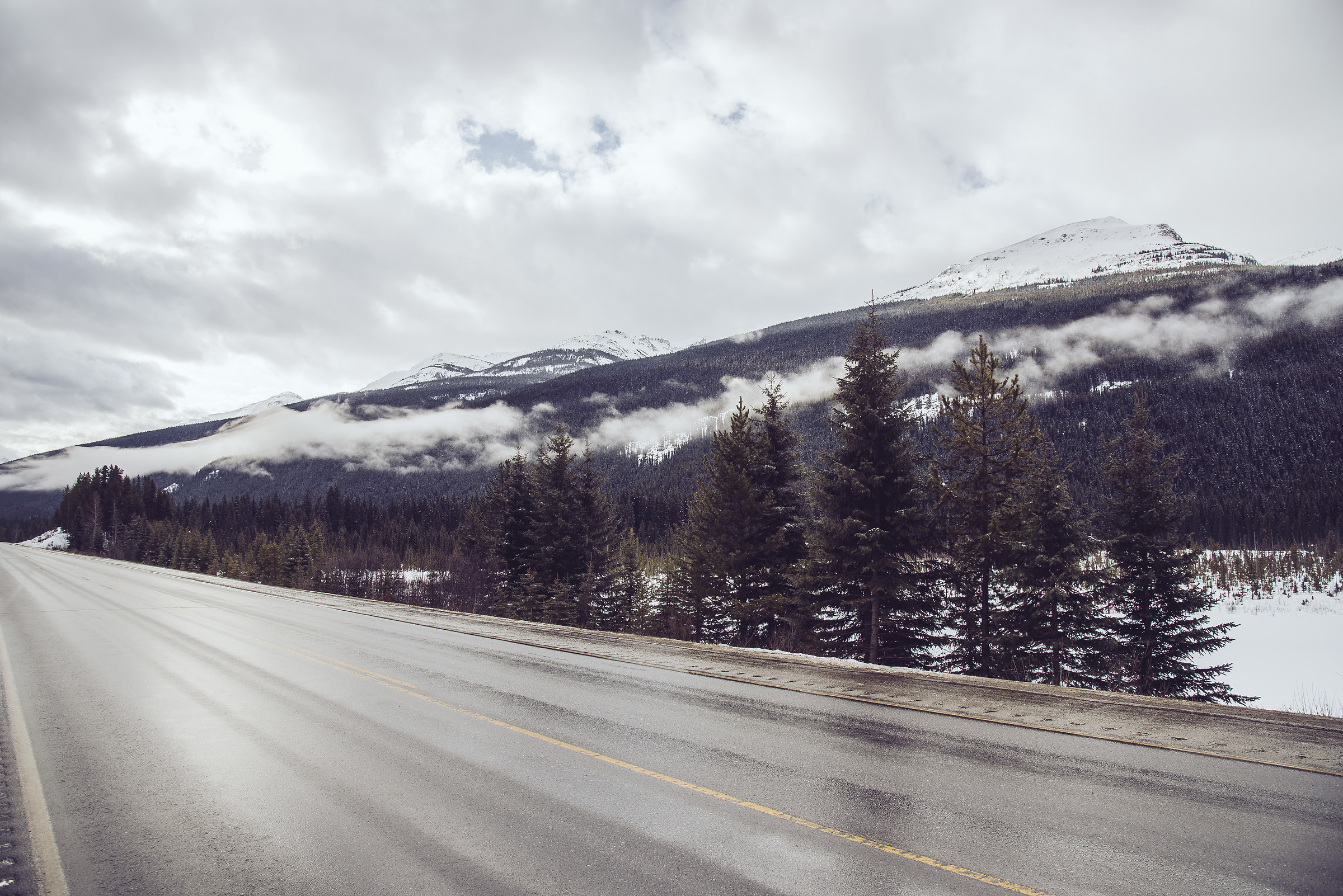 Rocky Mountain, AB Canada