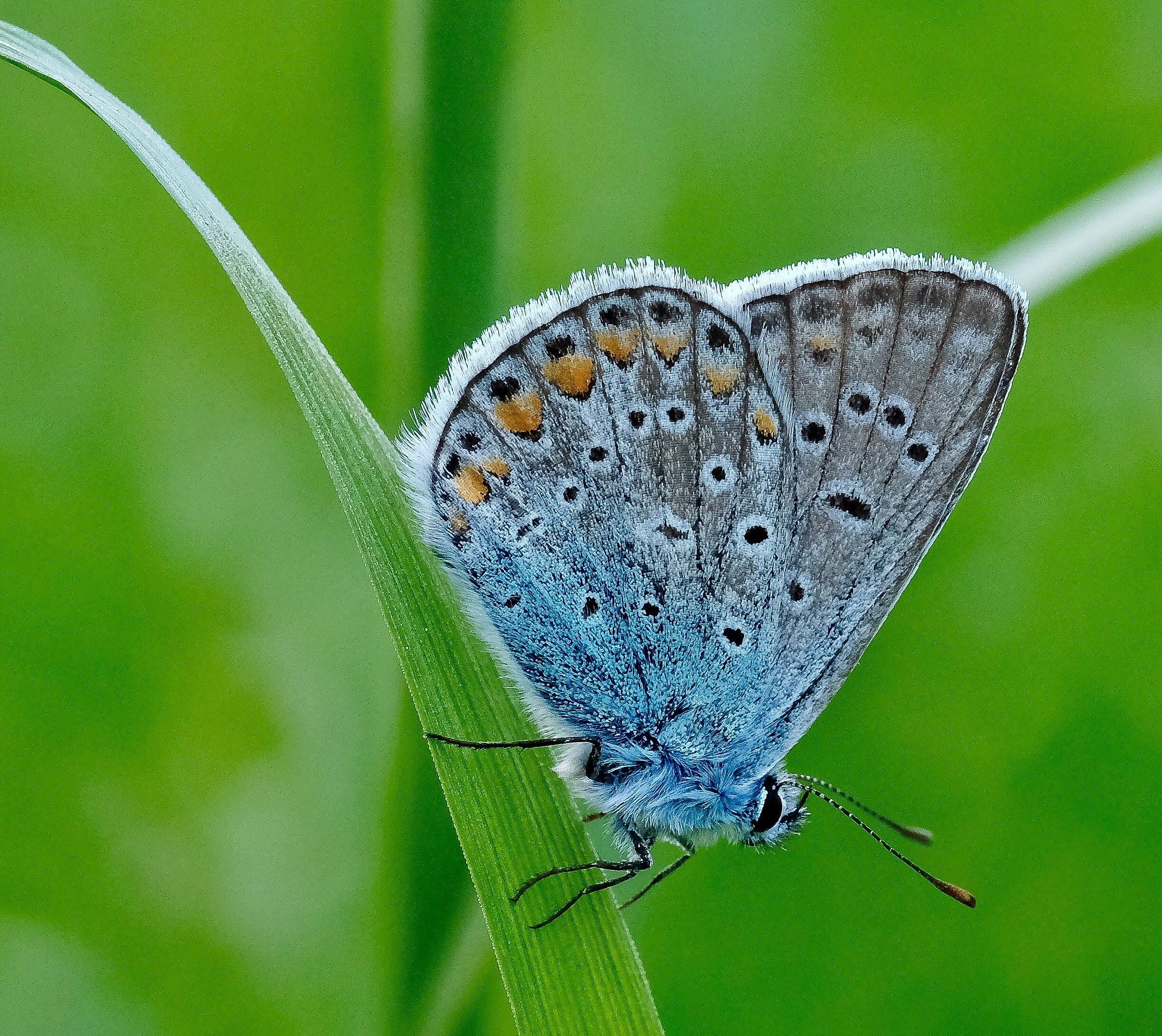 Modella instancabile