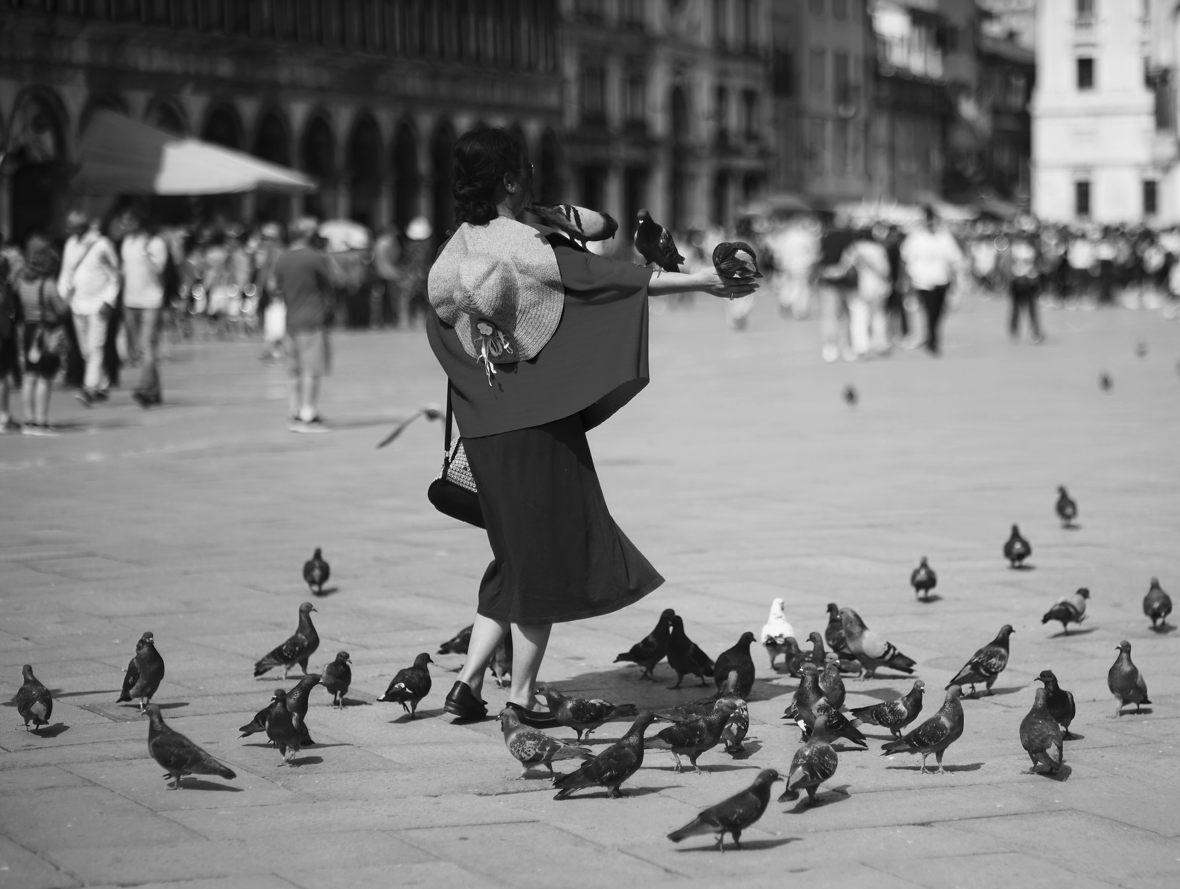 Notre Dame de Pigeons