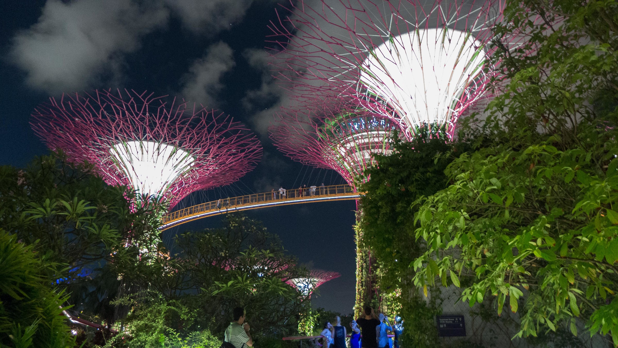 Gardens by the bay Singapore