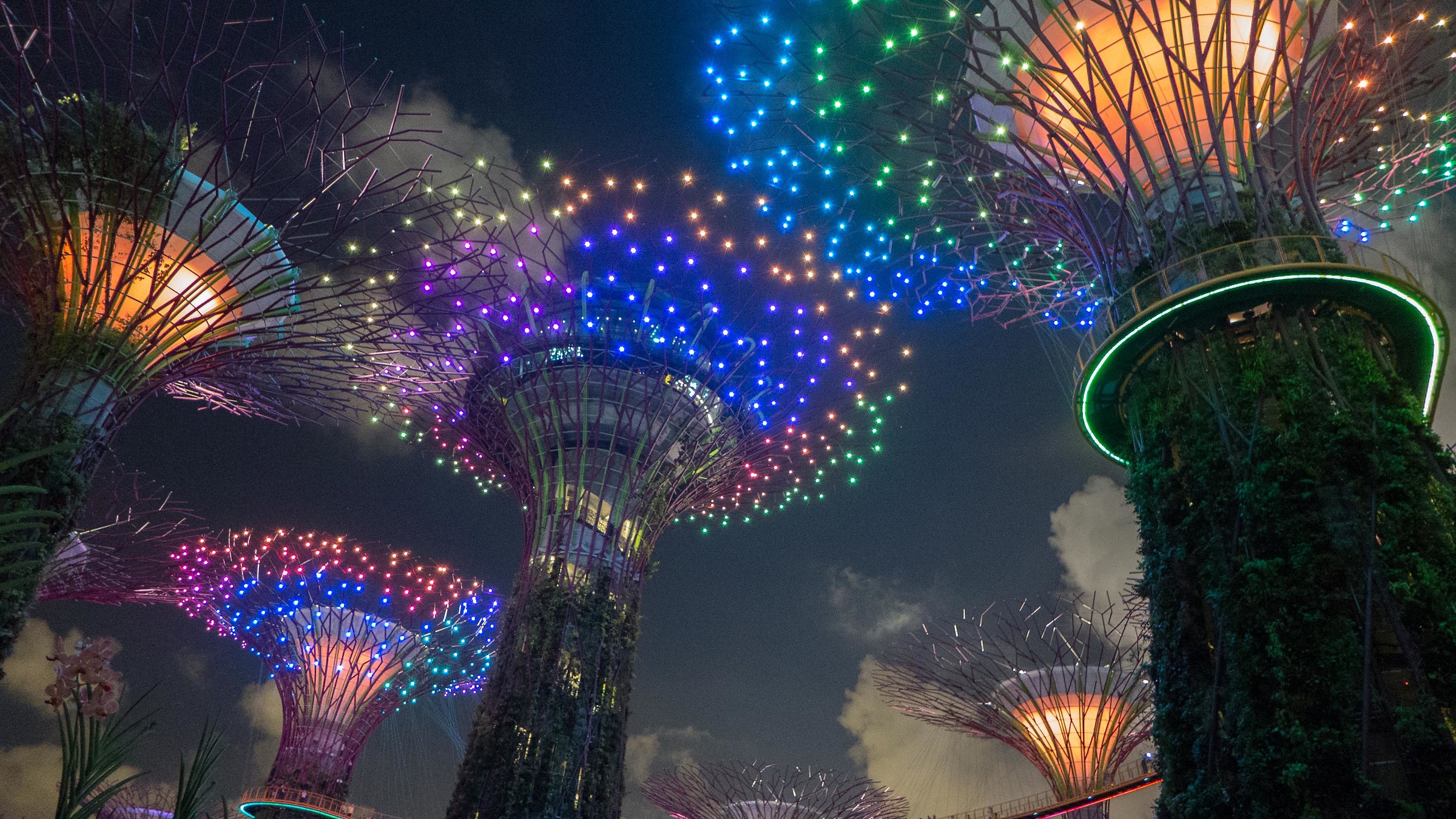 Gardens by the bay Singapore