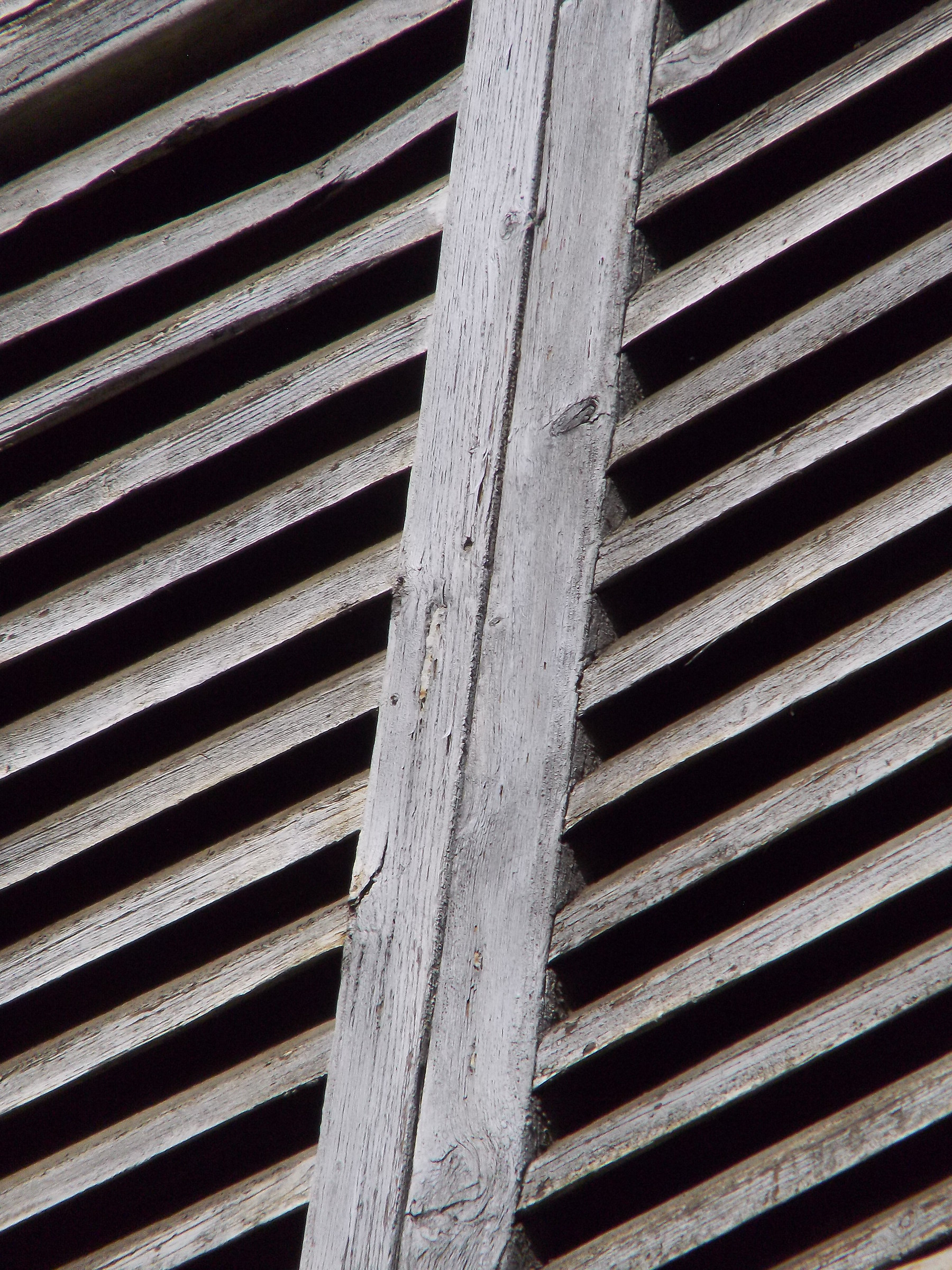 Convergenze parallele?