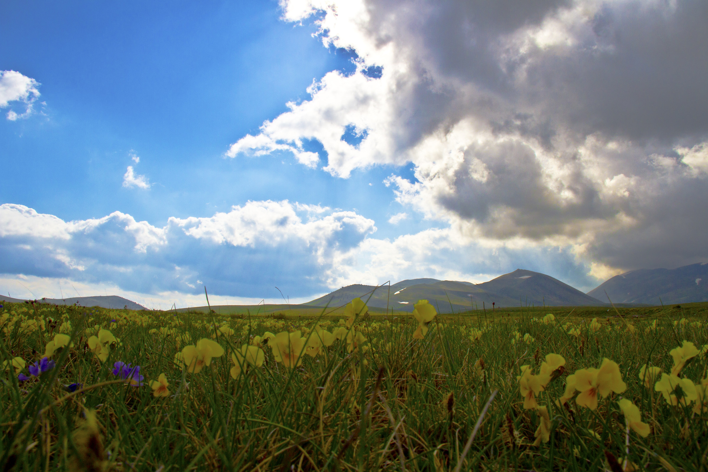 On the ground of Campo Imperatore (aq)