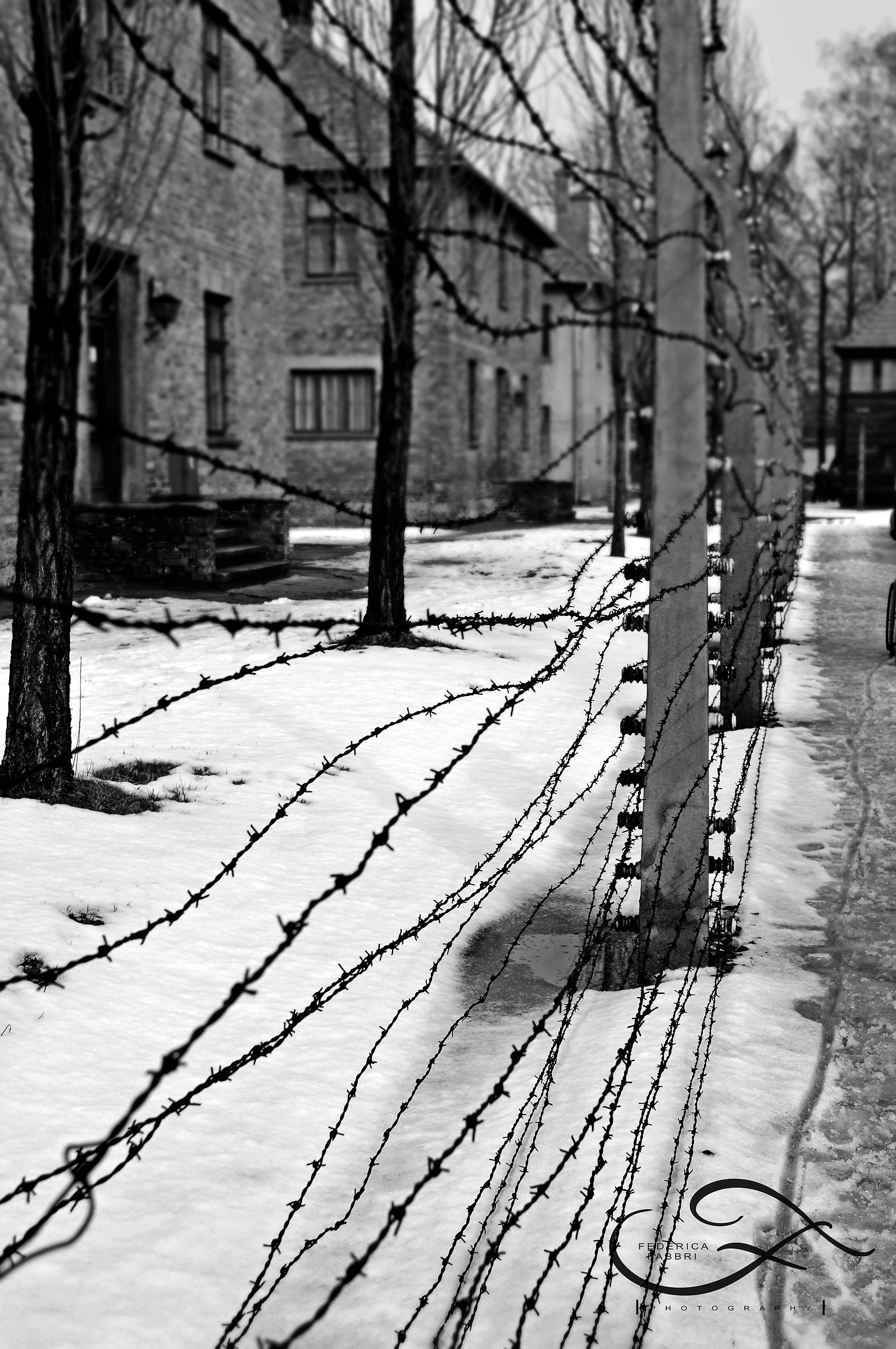 Auschwitz