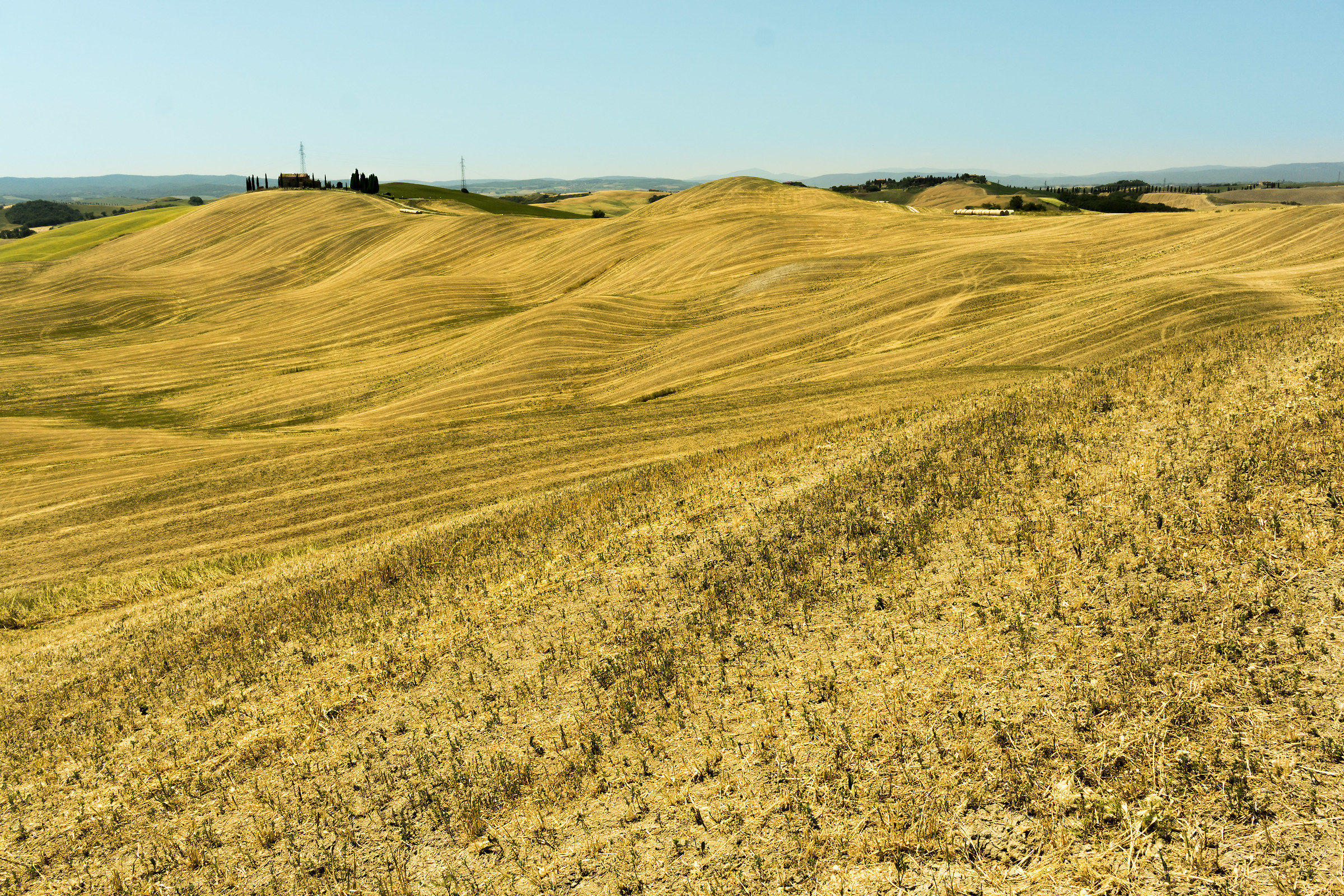 Campagna a Asciano - 4