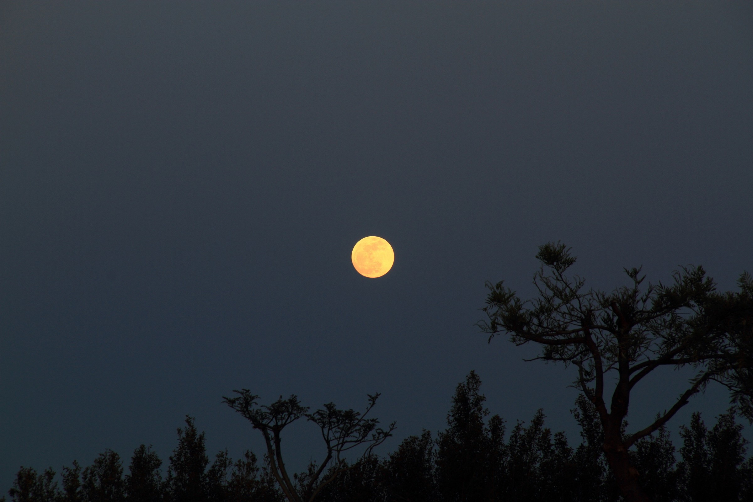The awakening of the Moon