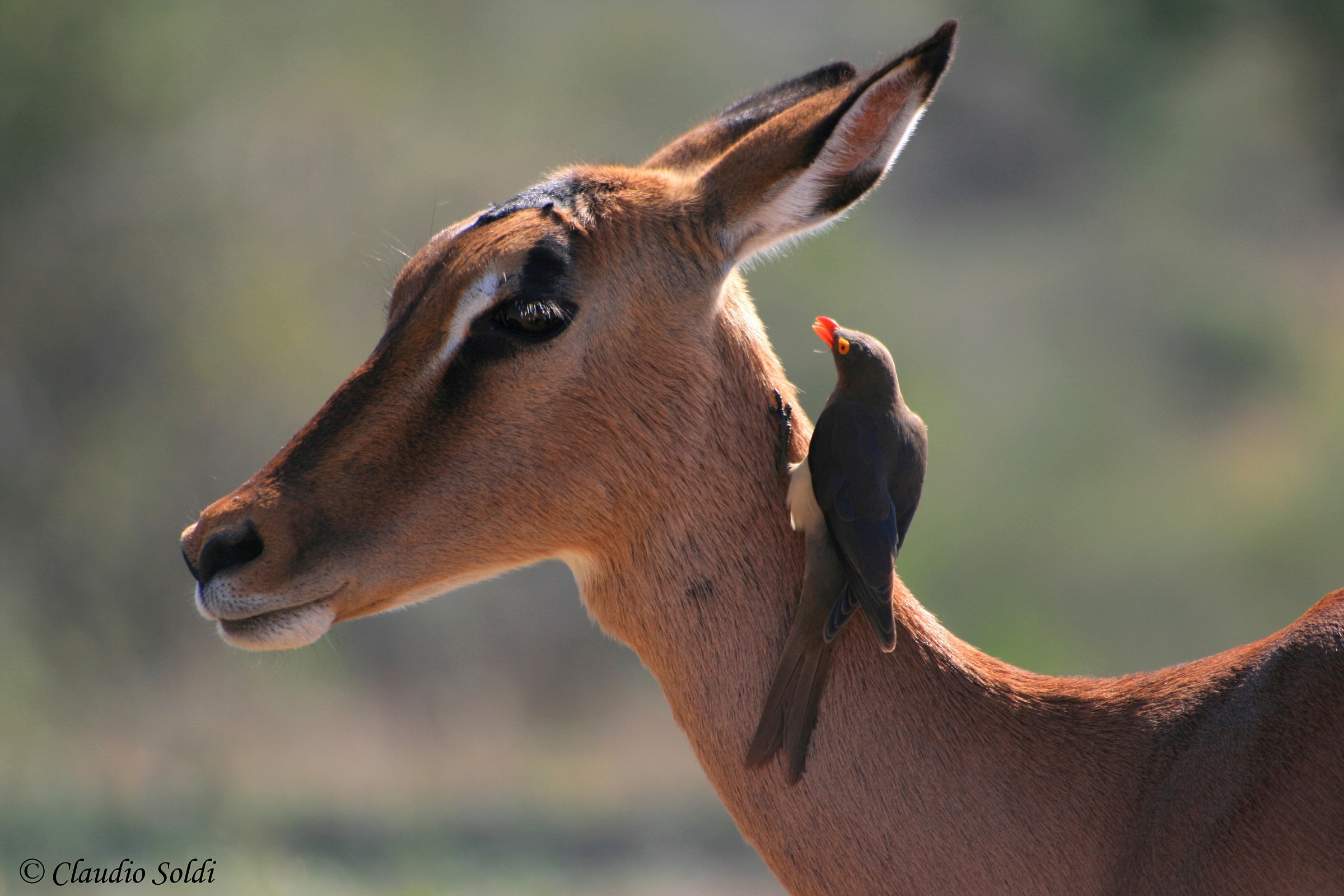 Bamby and her boyfriend
