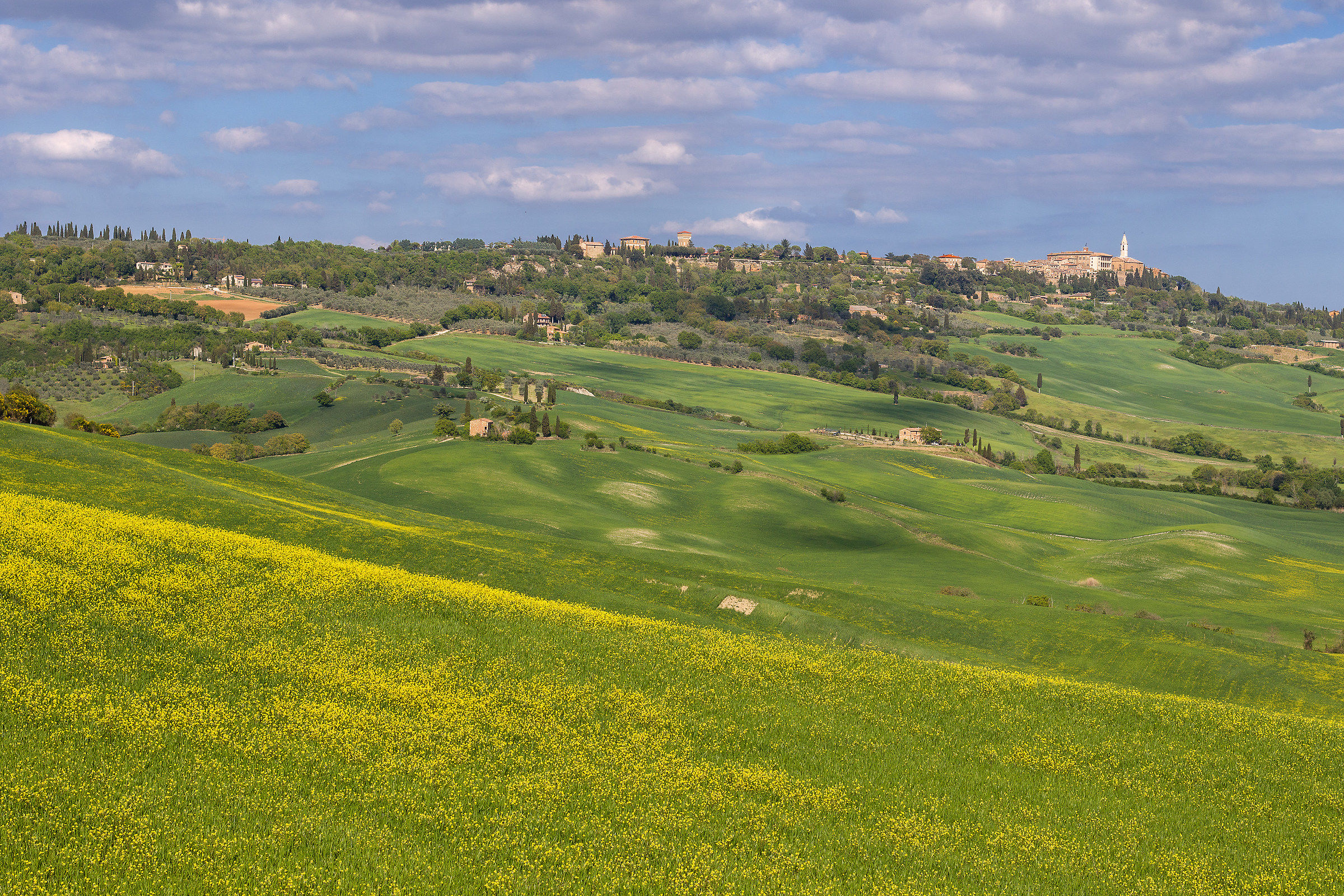 Alle pendici di Pienza