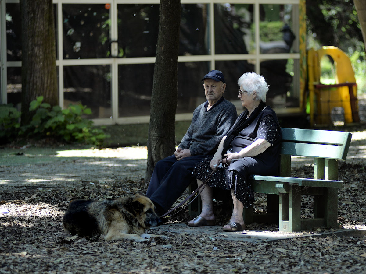 When Fido also has the White Beard ...