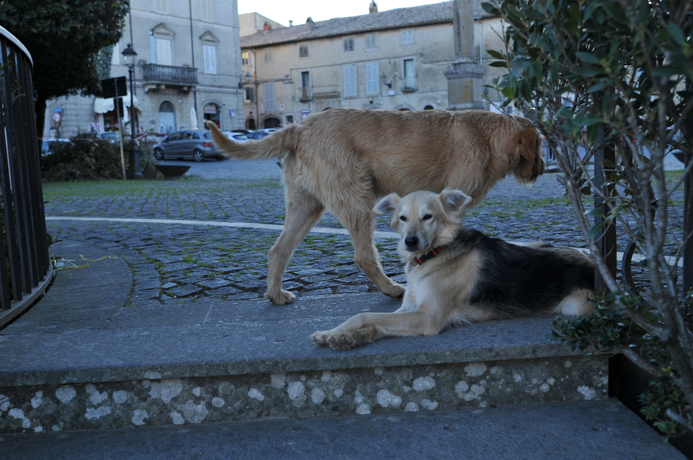 I love Ama and Olmo.