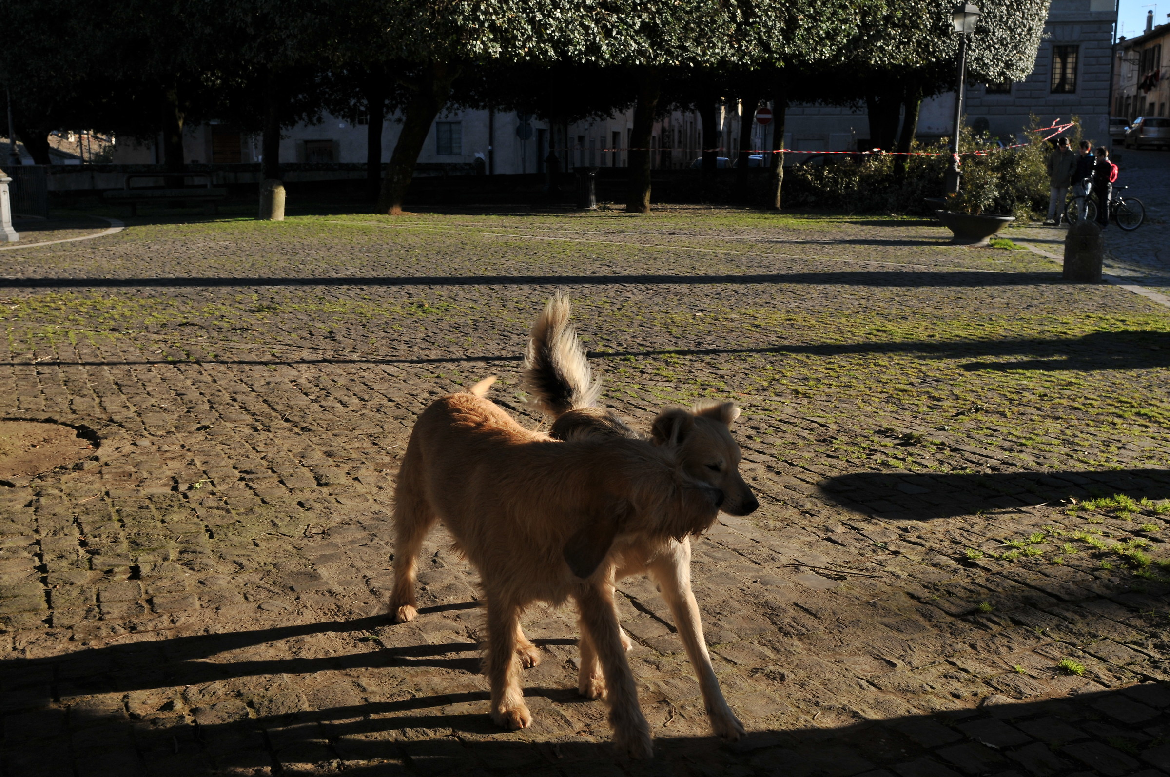 I love Ama and Olmo.