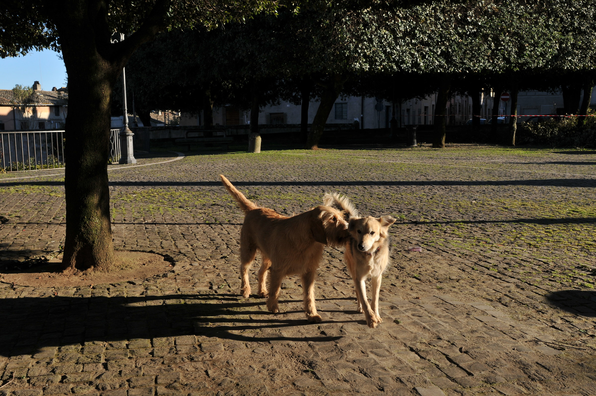 I love Ama and Olmo.