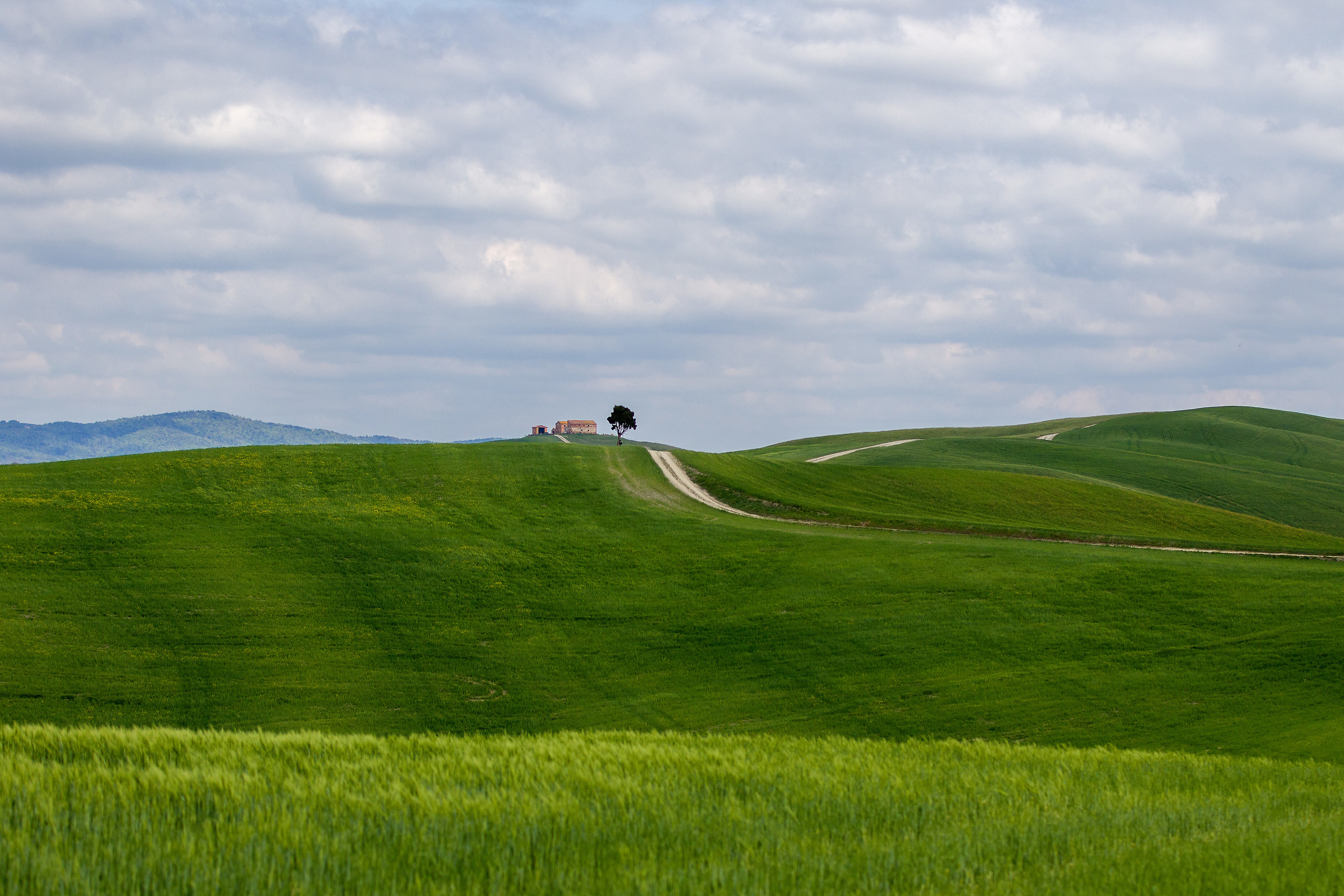 Colline senesi 1
