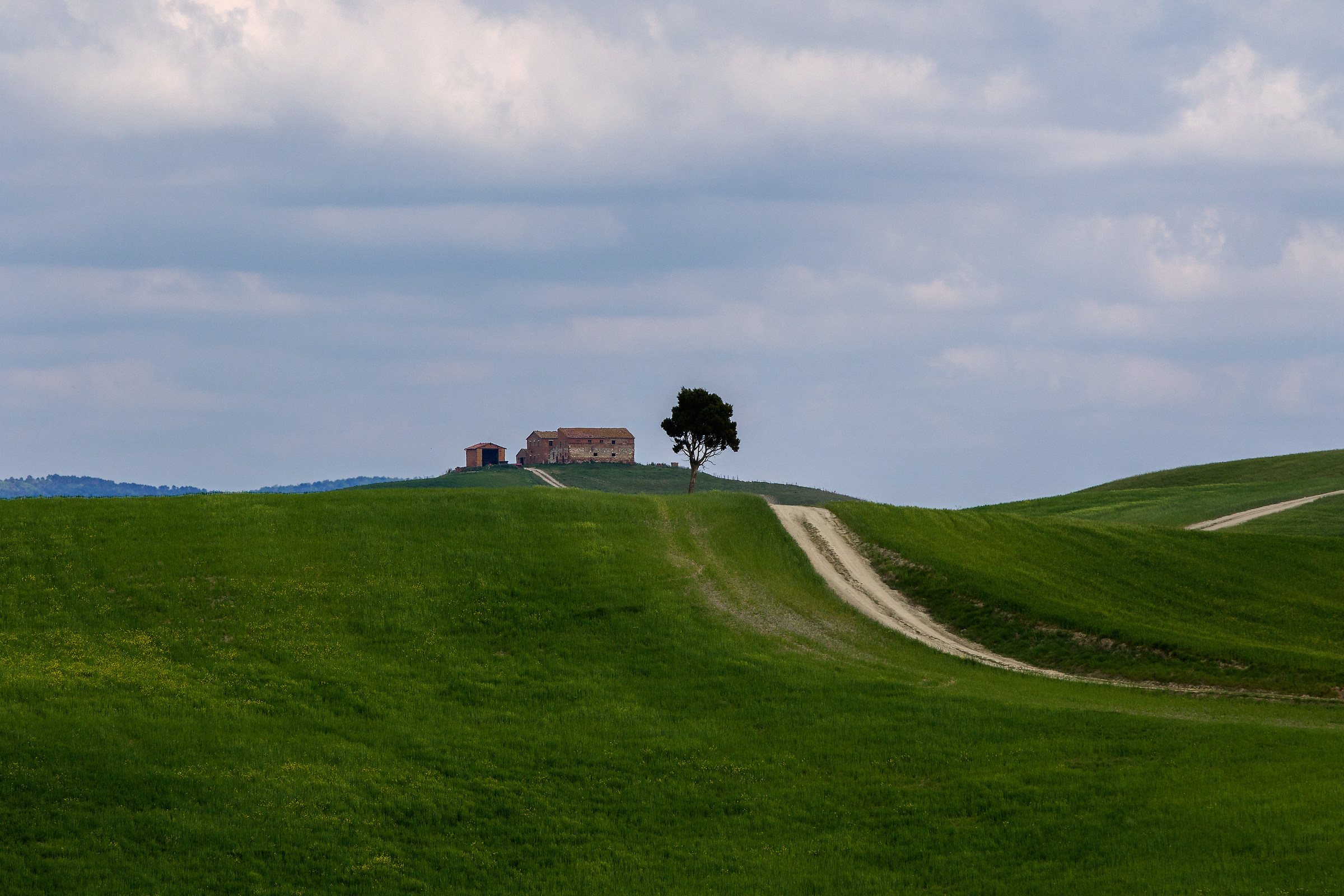 Colline senesi 2