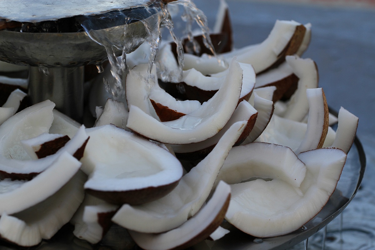 Il cocco è bello perchè è fresco...