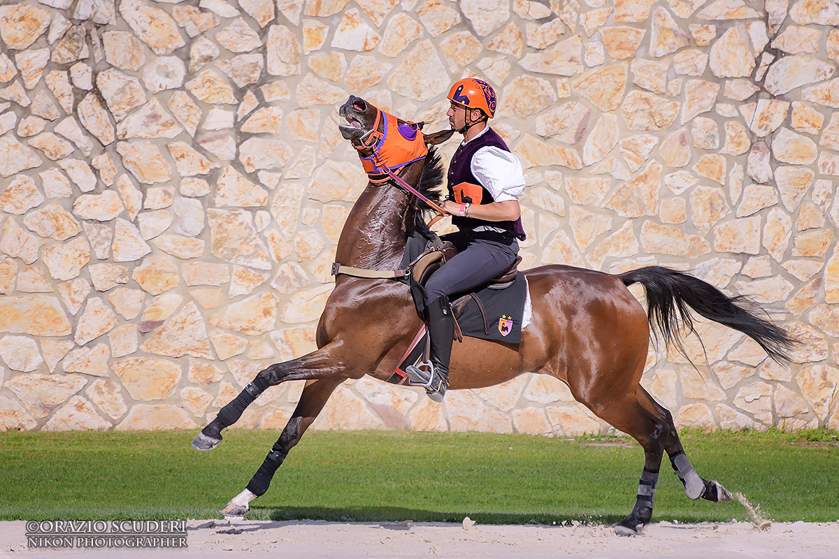 Narni - Race to the Ring 2017