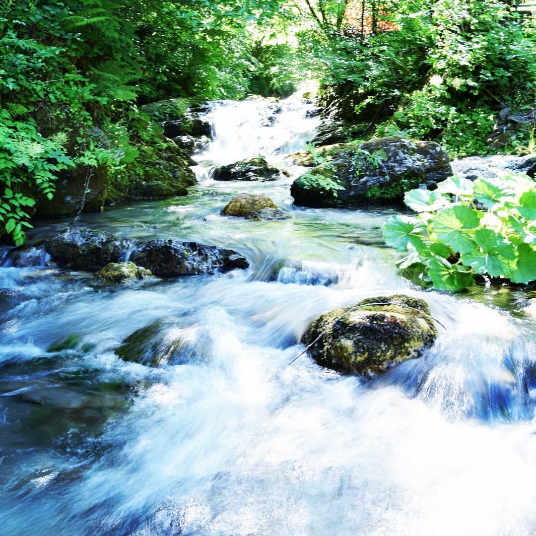 Torrente vergemoli, garfagnana