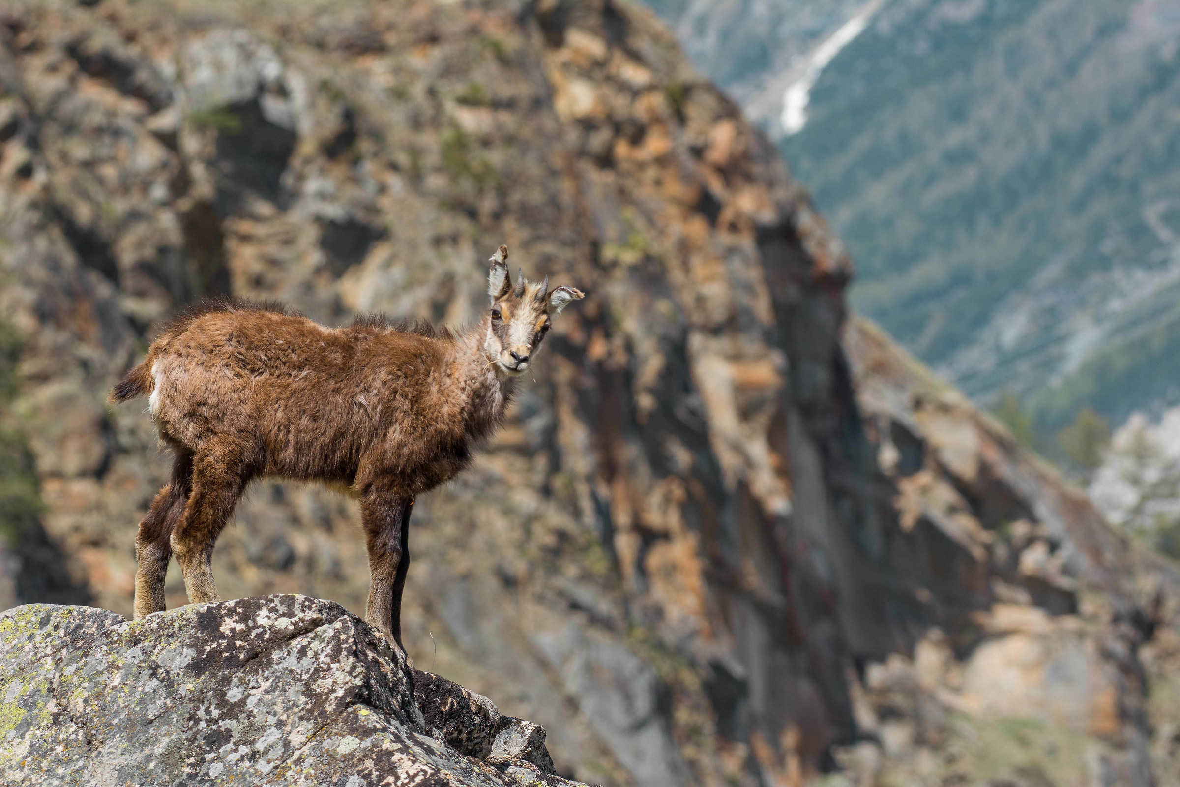 scalate alle prime armi