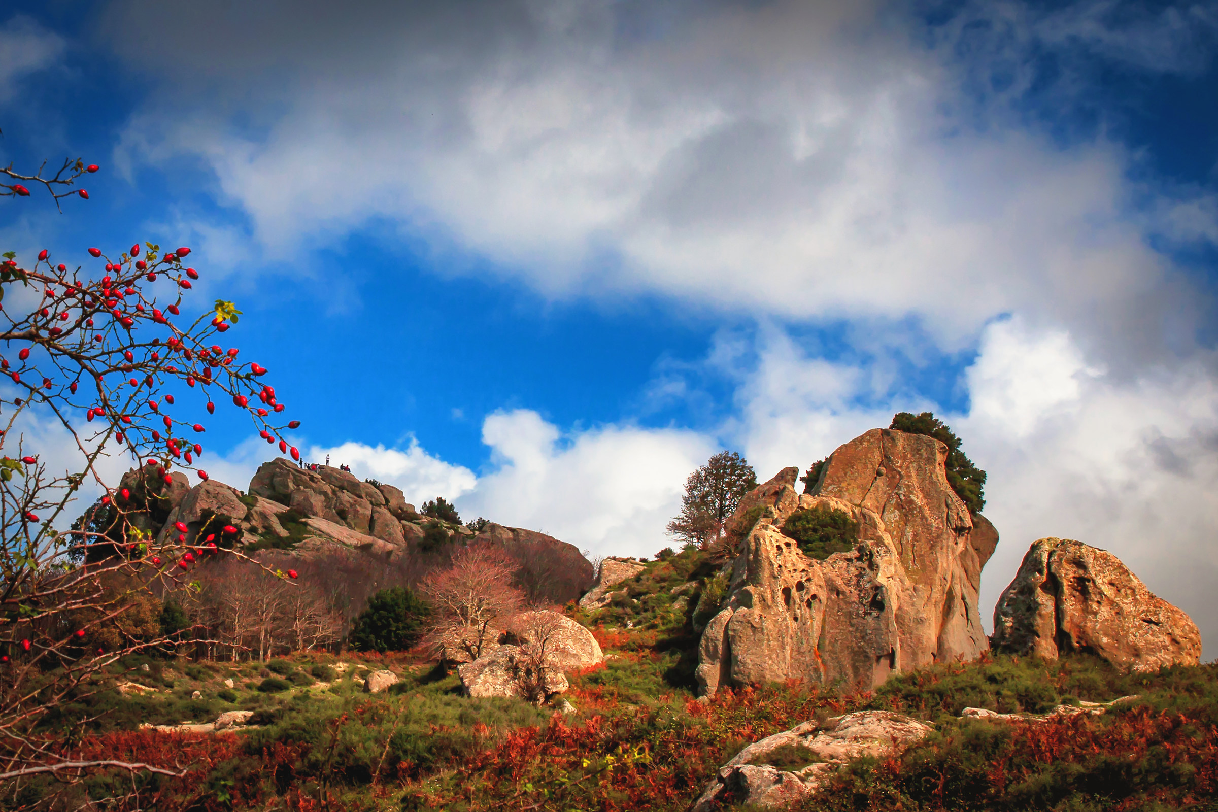 The Megaliths of Arumusus of Montalbano Elicona