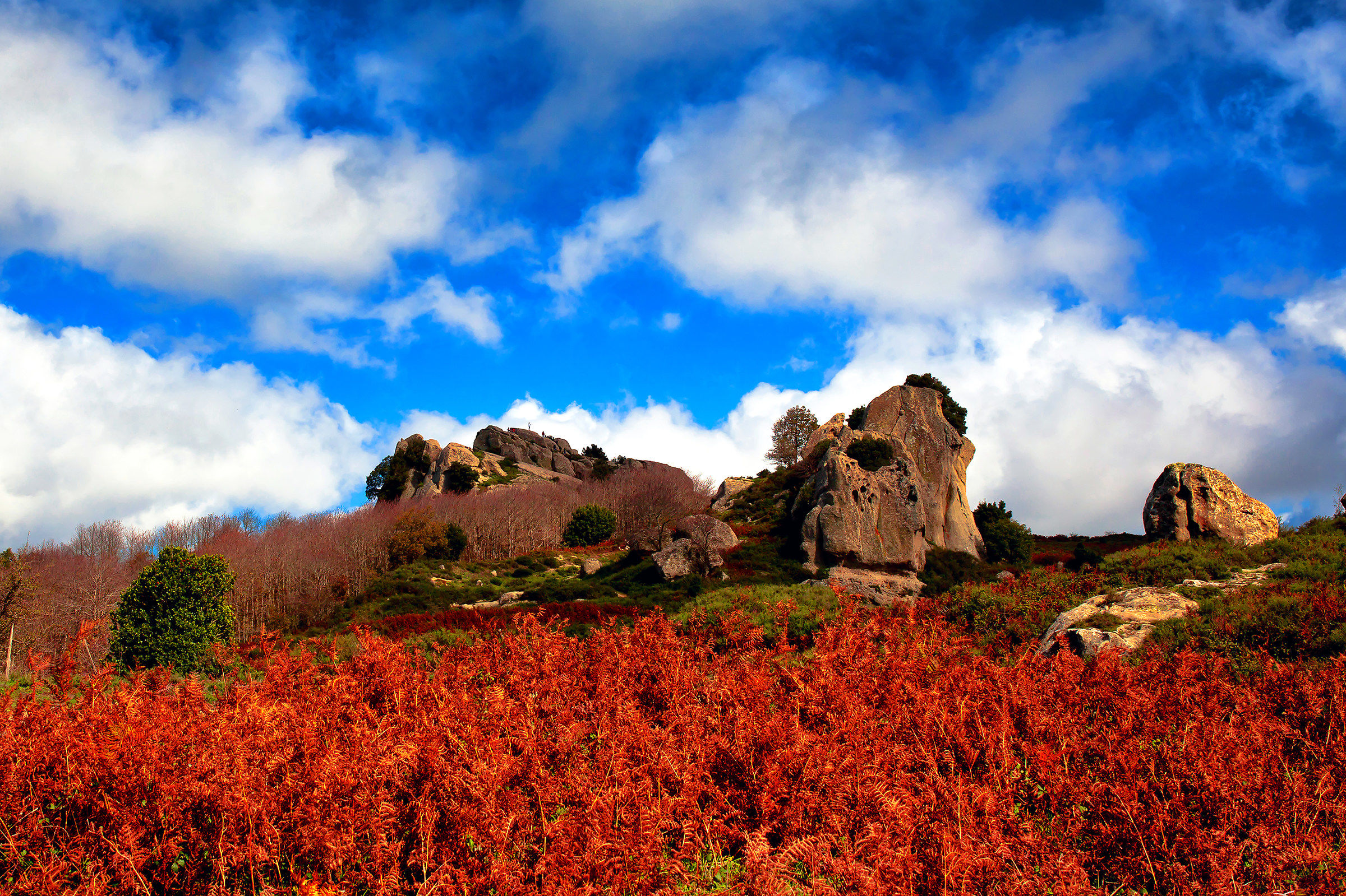 The Megaliths of Arumusus of Montalbano Elicona