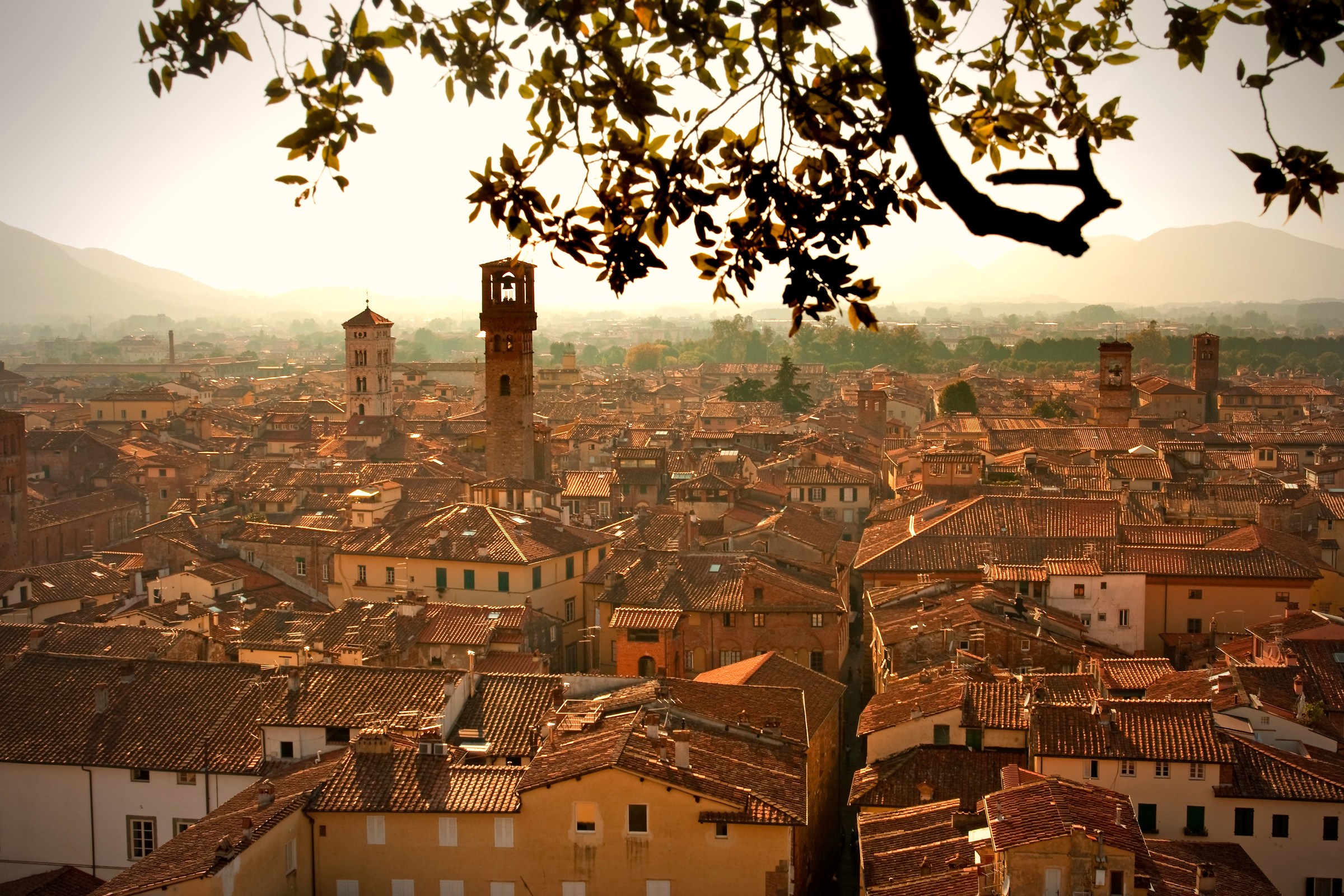 Assisi