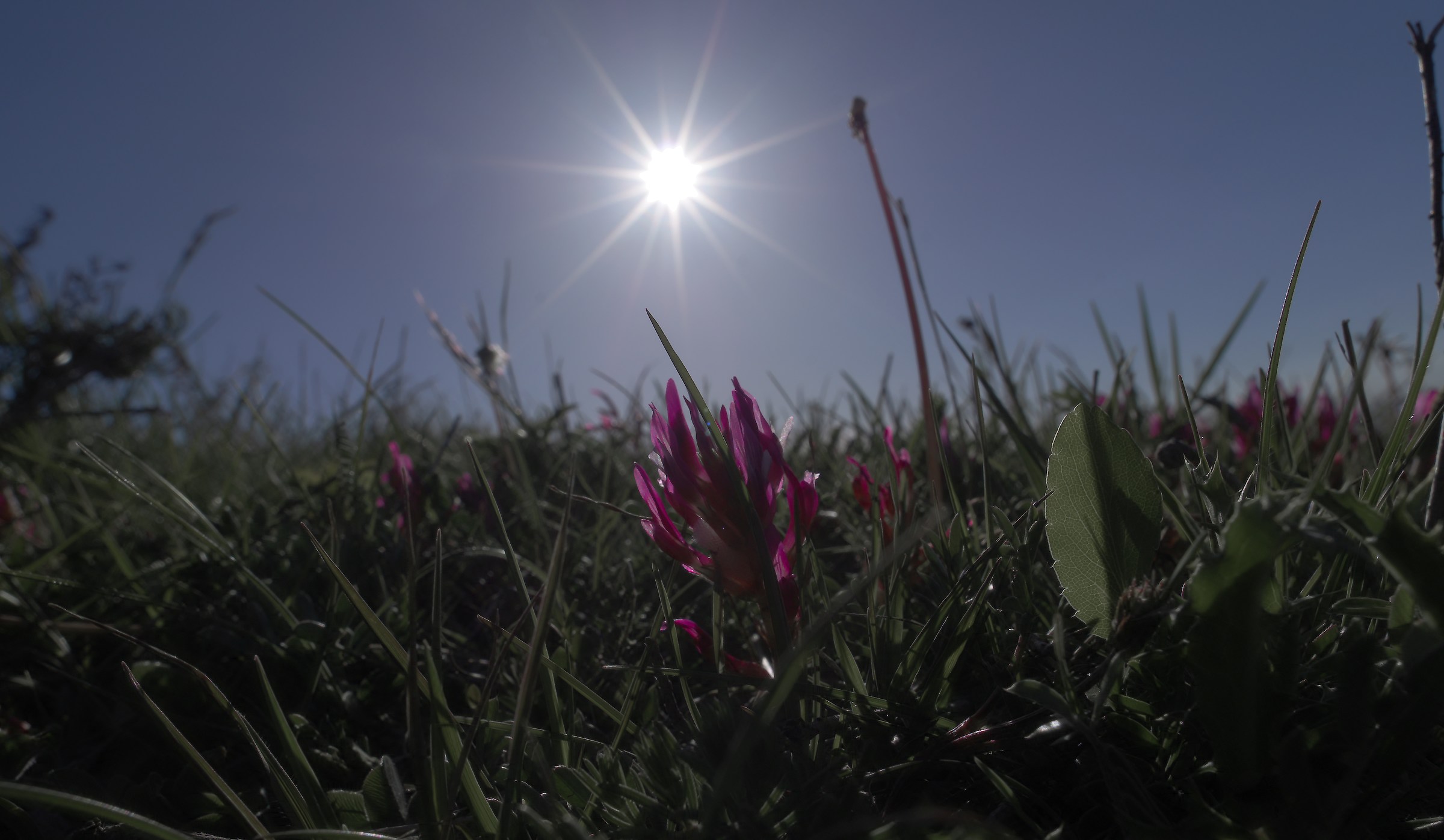 The sun kisses everyone