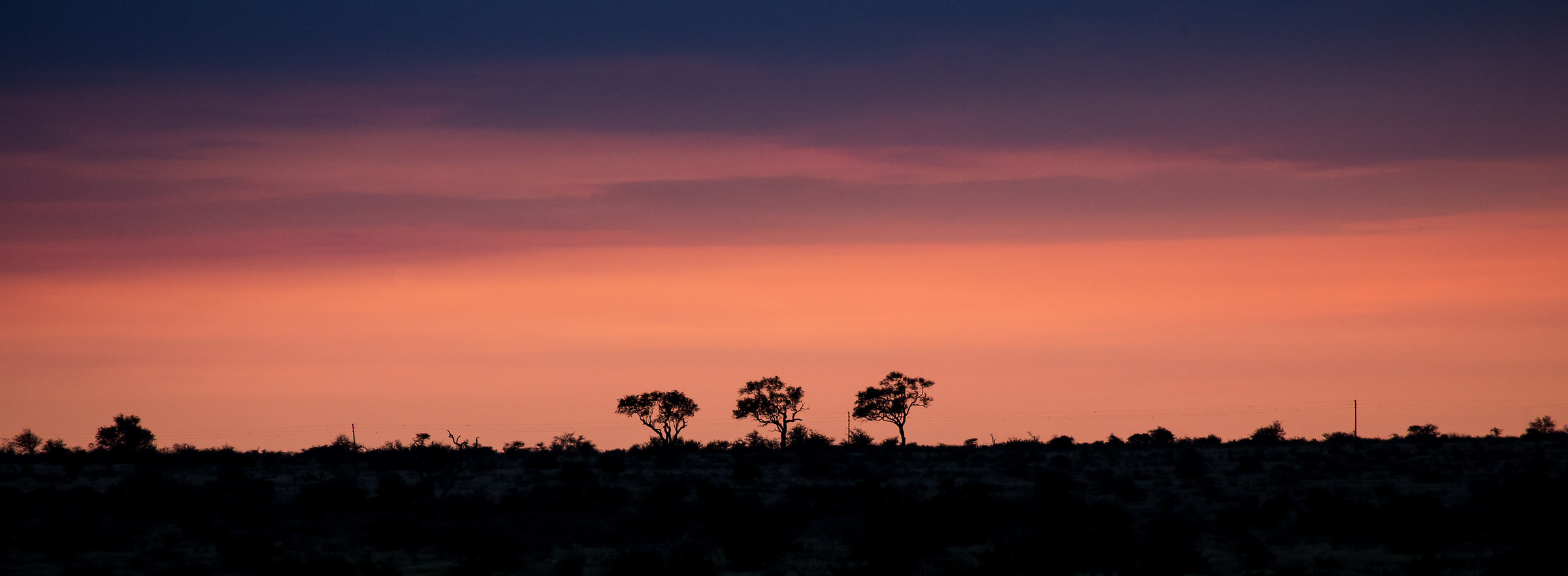 Kruger - Sunset in the savannah