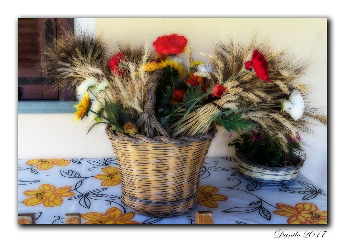 still life