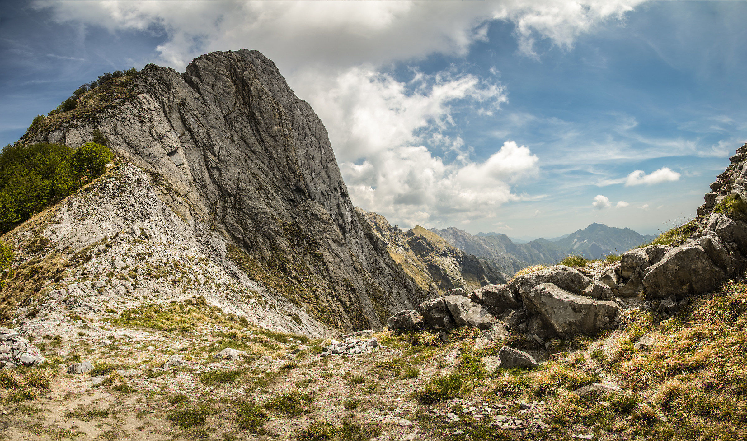Step of the Apuana Alps sheep