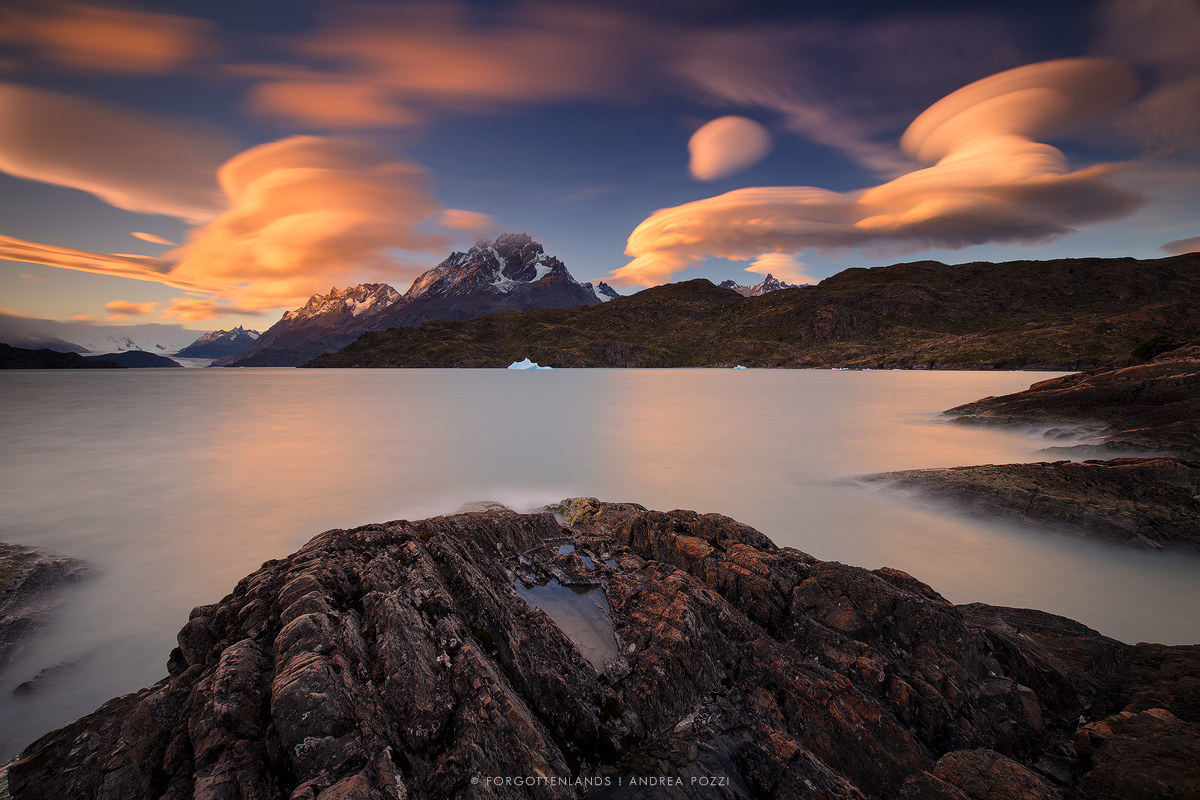 Lentils on Lake Gray